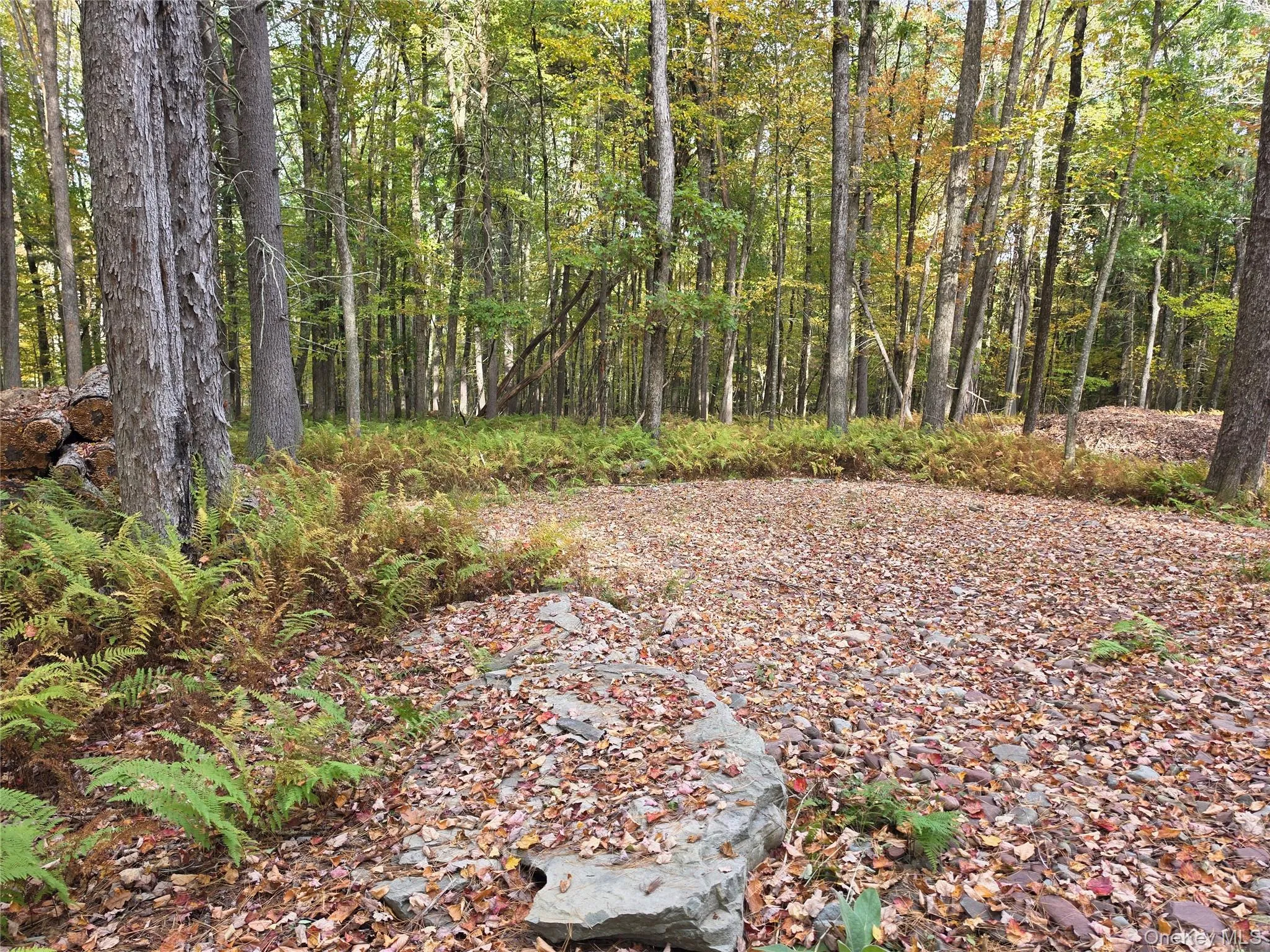 TBD Evergreen Lane, Tusten, NY, ,Land,For Rent,Evergreen,0,1063614 TBD Evergreen Lane, Tusten, NY, ,Land,For Rent,Evergreen,0,1063614