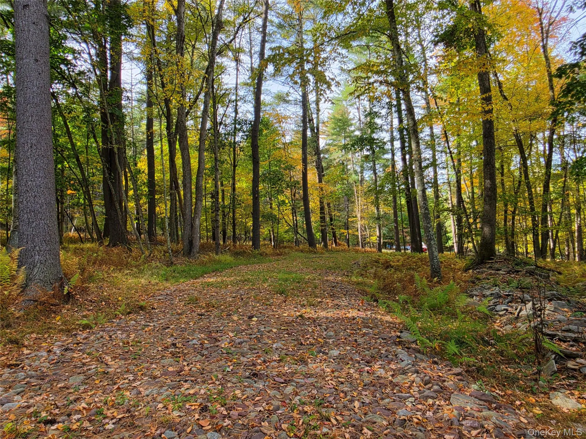 TBD Evergreen Lane, Tusten, NY, ,Land,For Rent,Evergreen,0,1063614 TBD Evergreen Lane, Tusten, NY, ,Land,For Rent,Evergreen,0,1063614