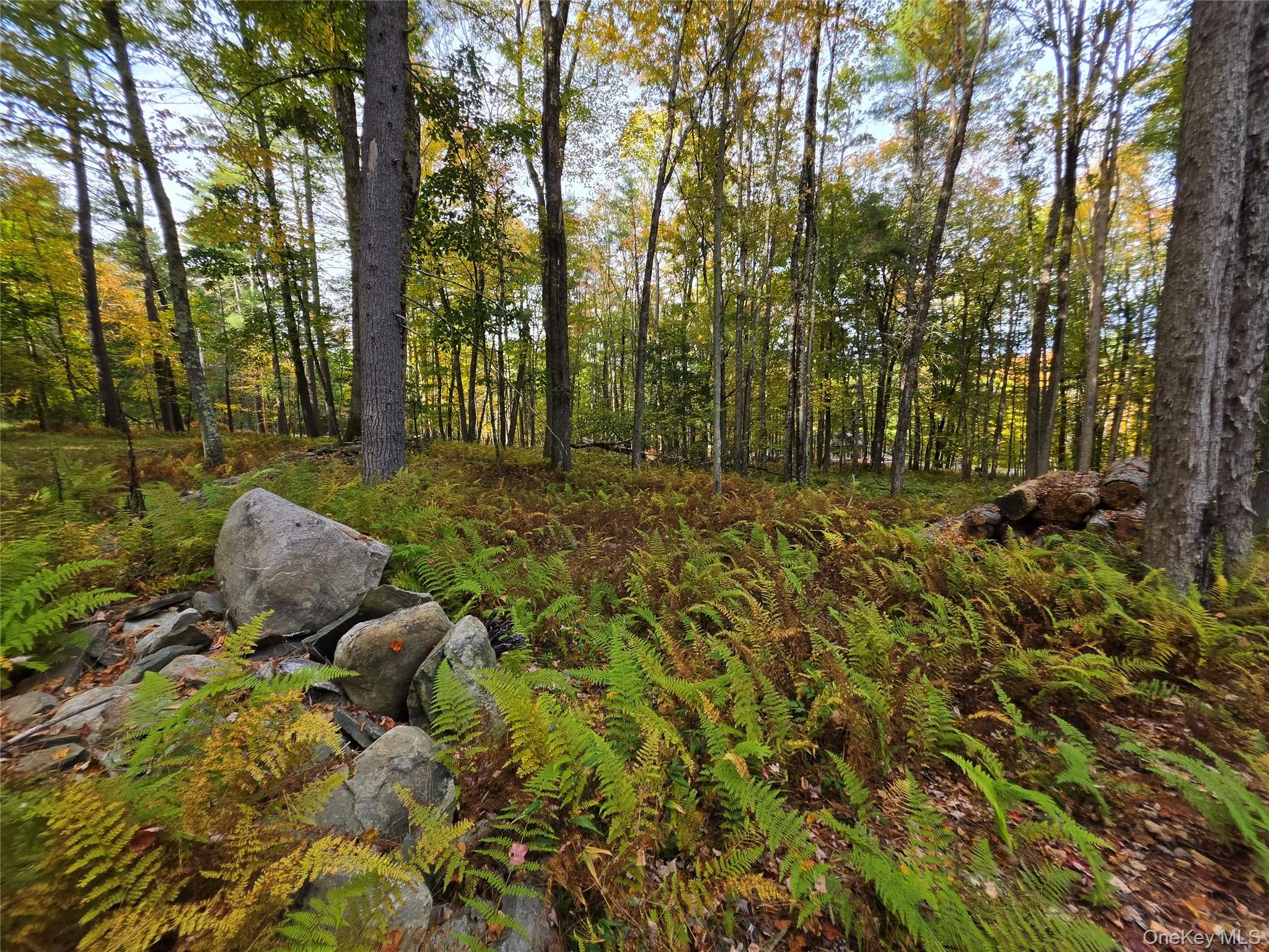 TBD Evergreen Lane, Tusten, NY, ,Land,For Rent,Evergreen,0,1063614 TBD Evergreen Lane, Tusten, NY, ,Land,For Rent,Evergreen,0,1063614