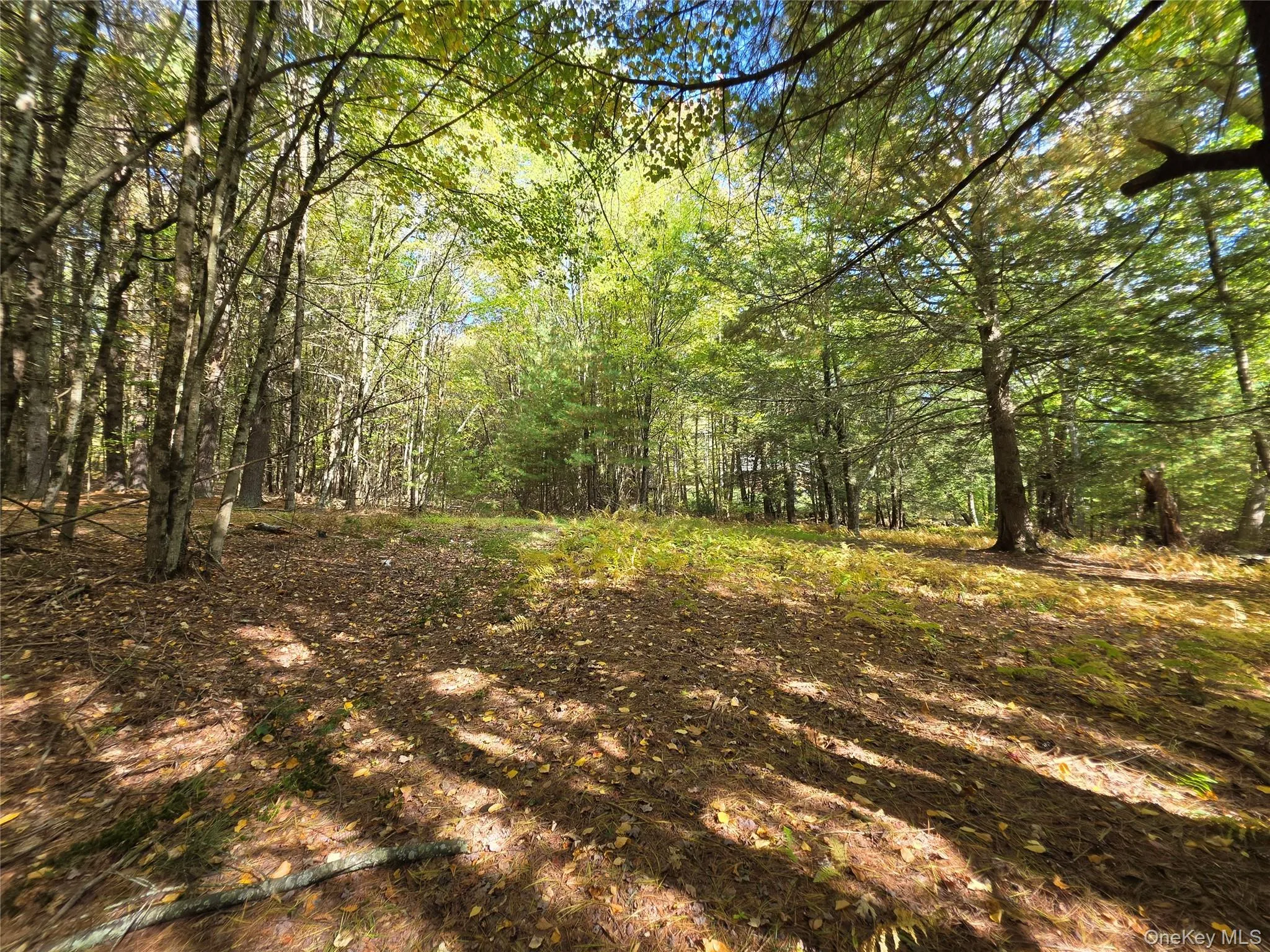 Lot 11 Deer Meadow Road, Bethel, NY, ,Land,For Rent,Deer Meadow,0,1063648 Lot 11 Deer Meadow Road, Bethel, NY, ,Land,For Rent,Deer Meadow,0,1063648