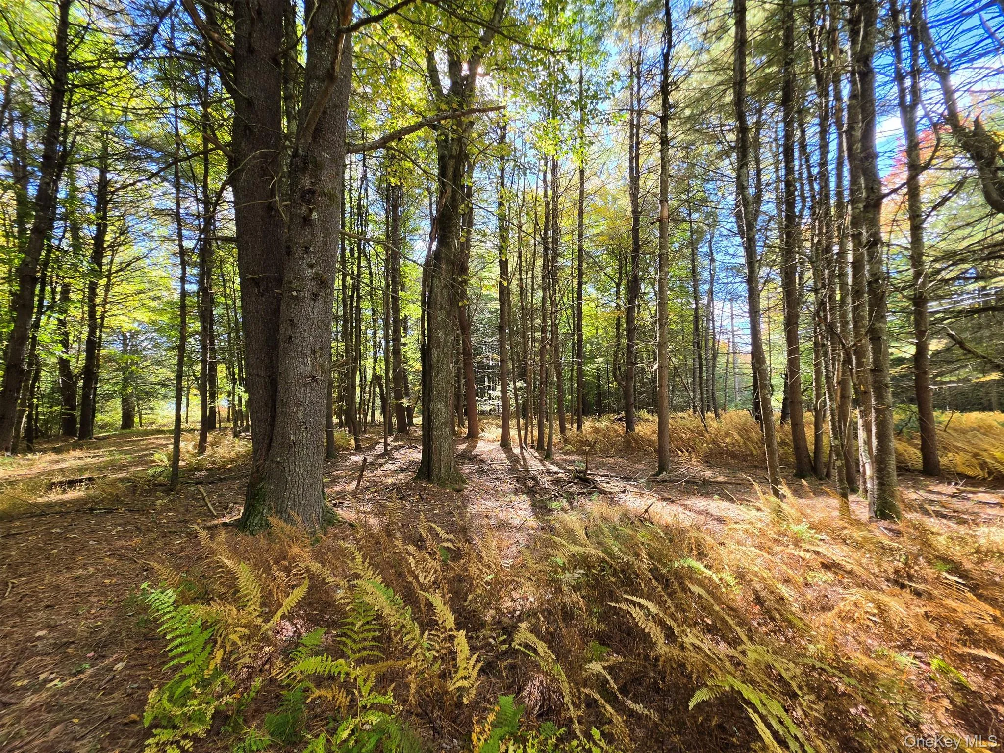 Lot 11 Deer Meadow Road, Bethel, NY, ,Land,For Rent,Deer Meadow,0,1063648 Lot 11 Deer Meadow Road, Bethel, NY, ,Land,For Rent,Deer Meadow,0,1063648