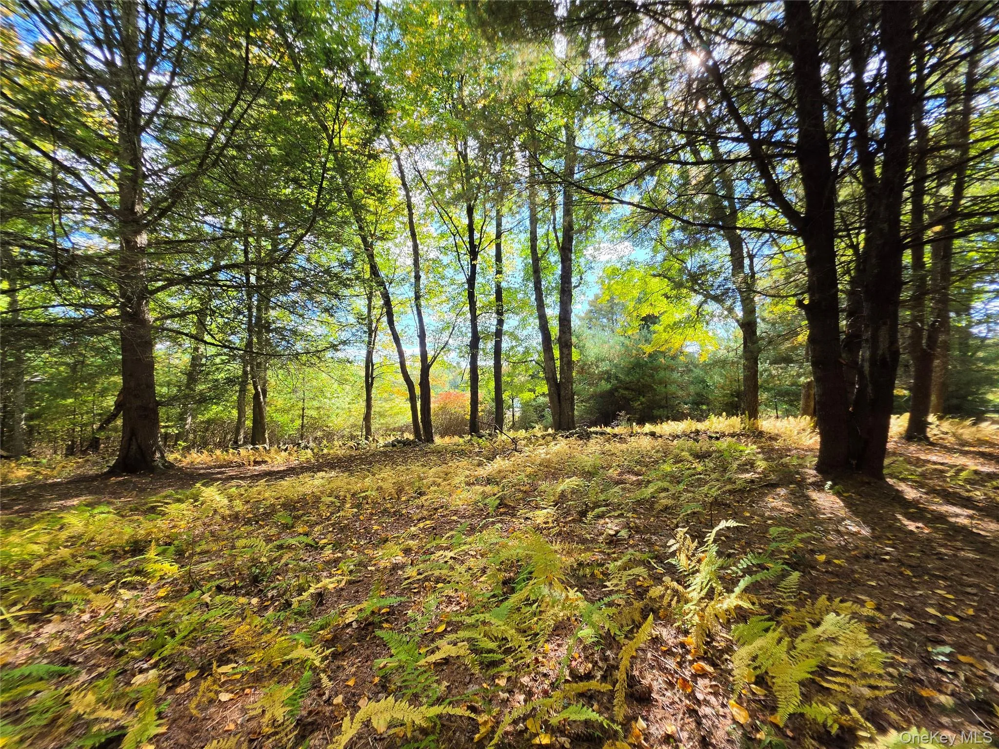 Lot 11 Deer Meadow Road, Bethel, NY, ,Land,For Rent,Deer Meadow,0,1063648 Lot 11 Deer Meadow Road, Bethel, NY, ,Land,For Rent,Deer Meadow,0,1063648