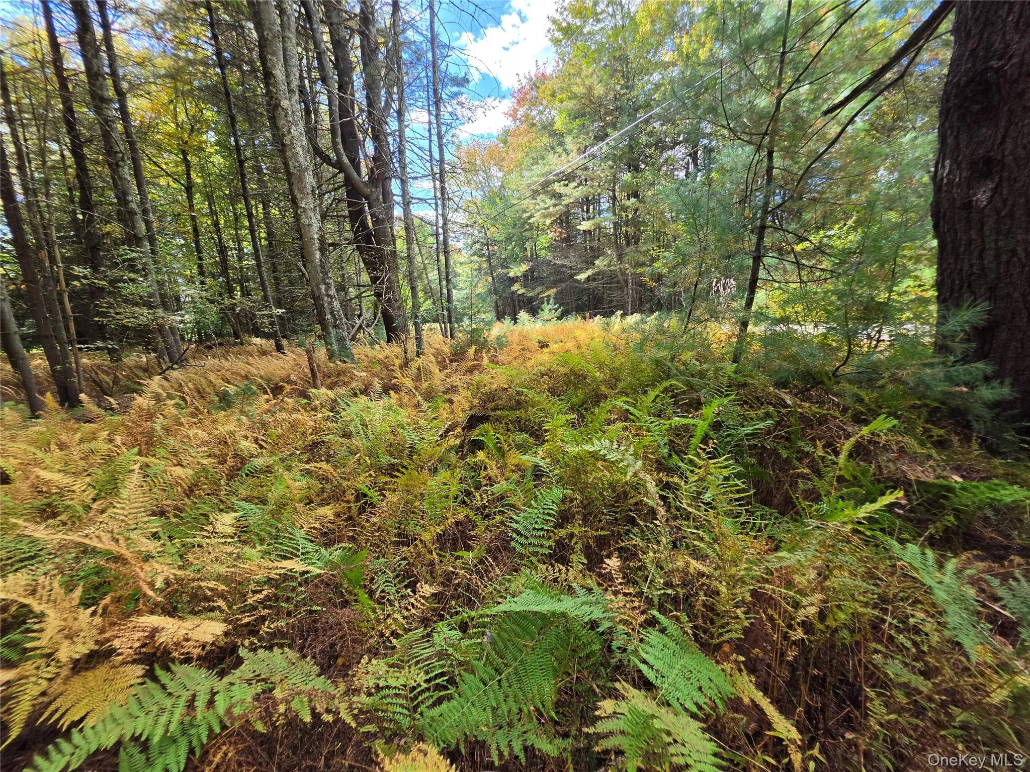 Lot 11 Deer Meadow Road, Bethel, NY, ,Land,For Rent,Deer Meadow,0,1063648 Lot 11 Deer Meadow Road, Bethel, NY, ,Land,For Rent,Deer Meadow,0,1063648