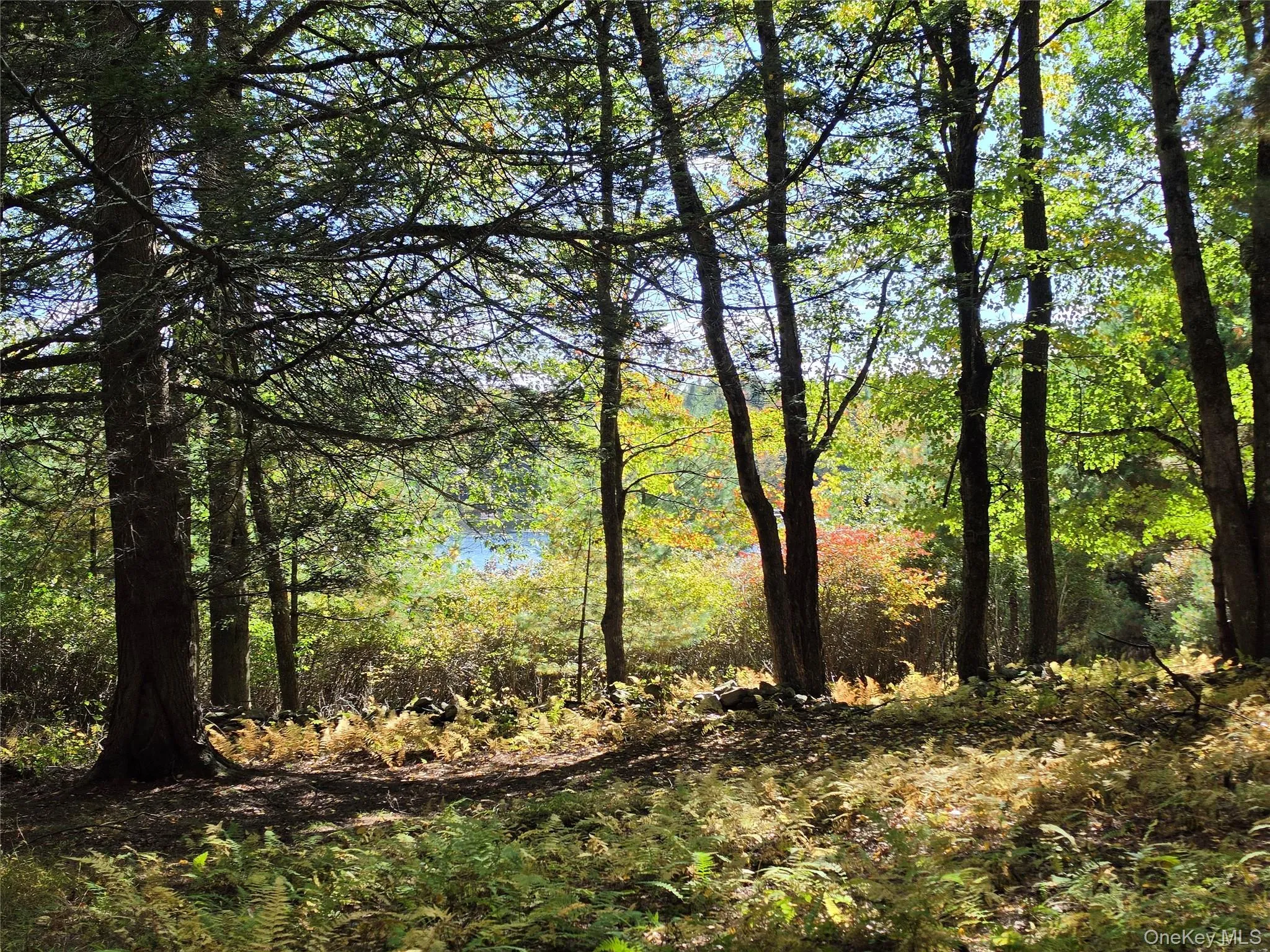 Lot 11 Deer Meadow Road, Bethel, NY, ,Land,For Rent,Deer Meadow,0,1063648 Lot 11 Deer Meadow Road, Bethel, NY, ,Land,For Rent,Deer Meadow,0,1063648