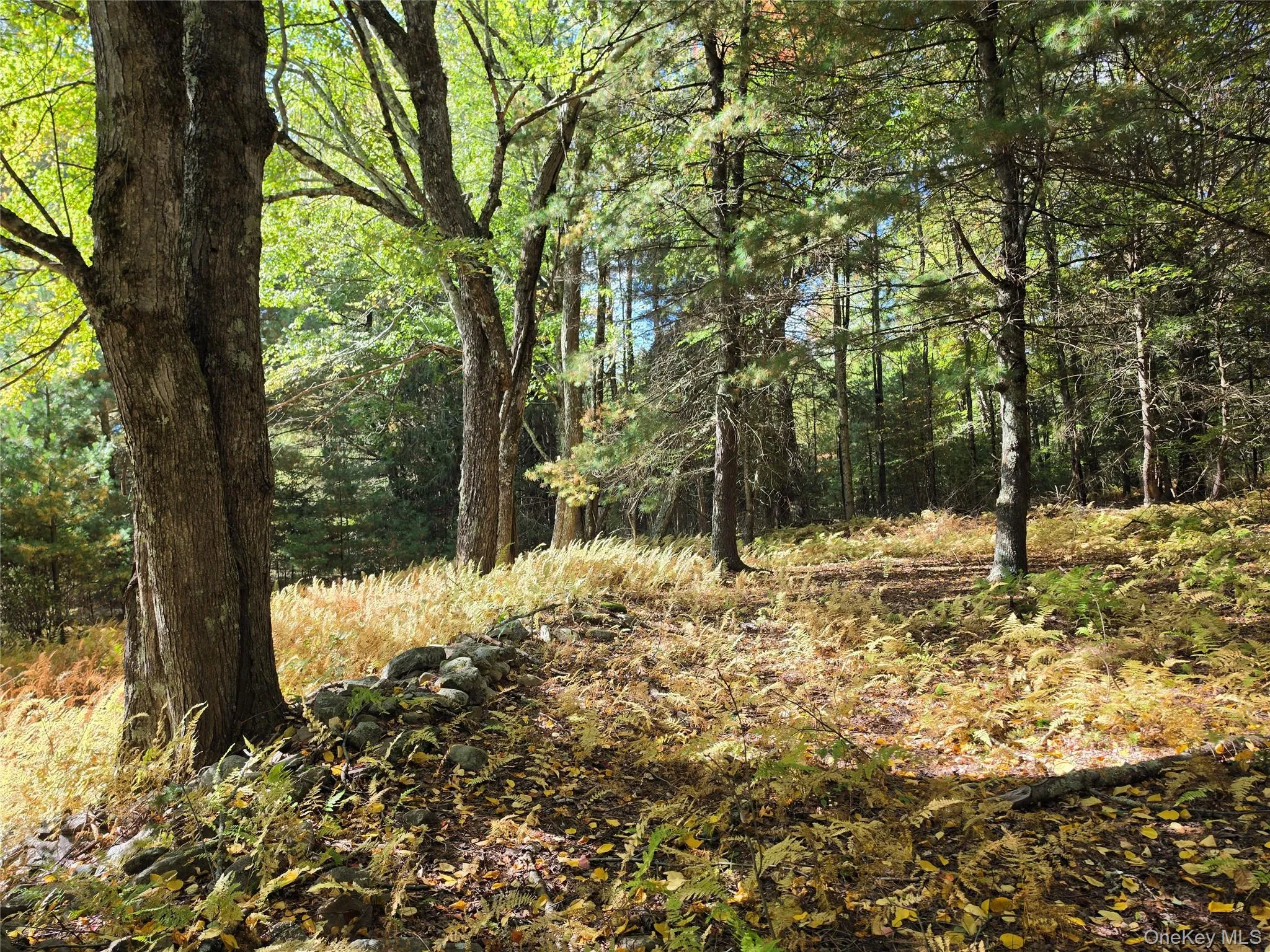 Lot 11 Deer Meadow Road, Bethel, NY, ,Land,For Rent,Deer Meadow,0,1063648 Lot 11 Deer Meadow Road, Bethel, NY, ,Land,For Rent,Deer Meadow,0,1063648