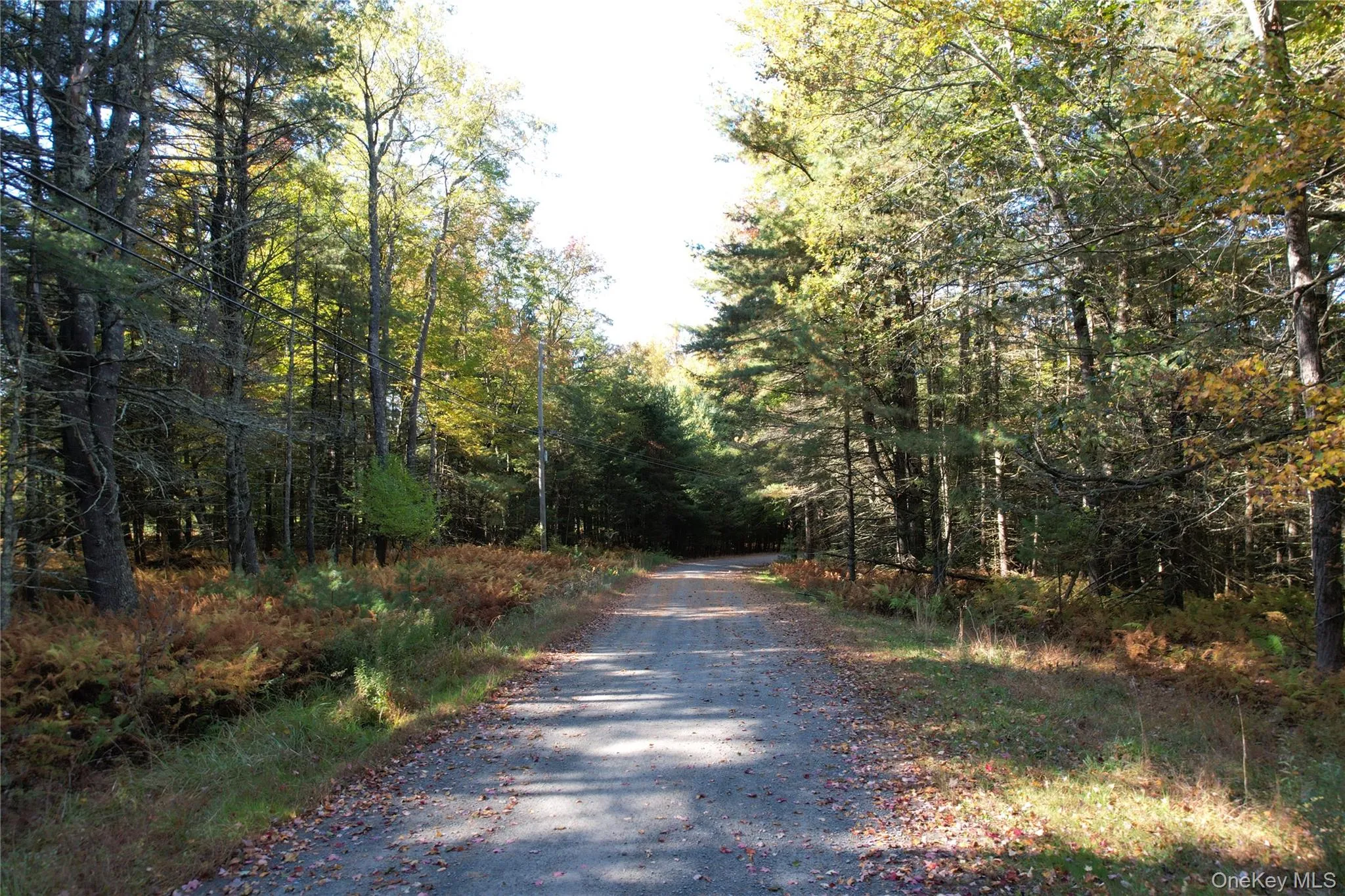 Lot 11 Deer Meadow Road, Bethel, NY, ,Land,For Rent,Deer Meadow,0,1063648 Lot 11 Deer Meadow Road, Bethel, NY, ,Land,For Rent,Deer Meadow,0,1063648