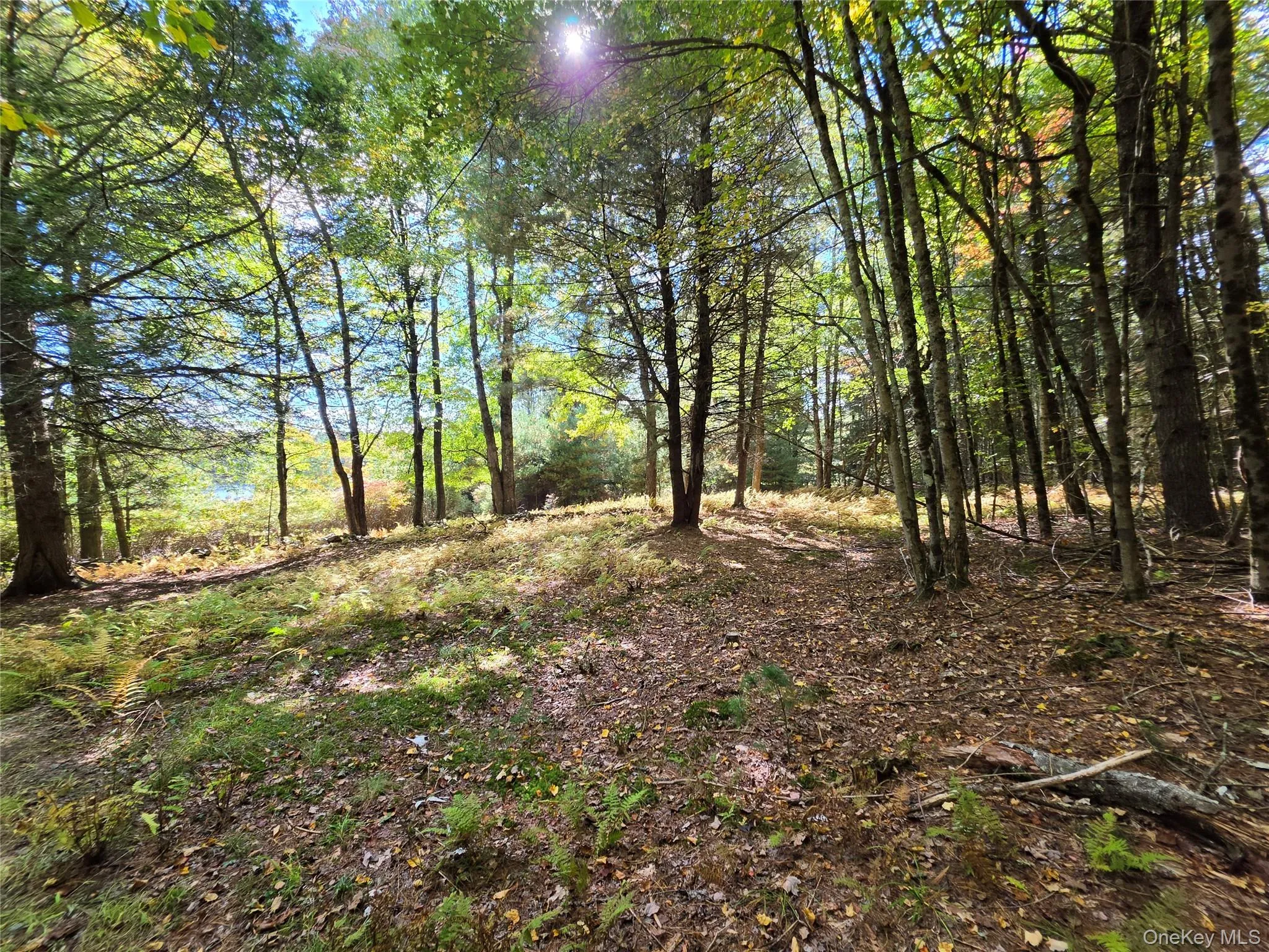 Lot 11 Deer Meadow Road, Bethel, NY, ,Land,For Rent,Deer Meadow,0,1063648 Lot 11 Deer Meadow Road, Bethel, NY, ,Land,For Rent,Deer Meadow,0,1063648