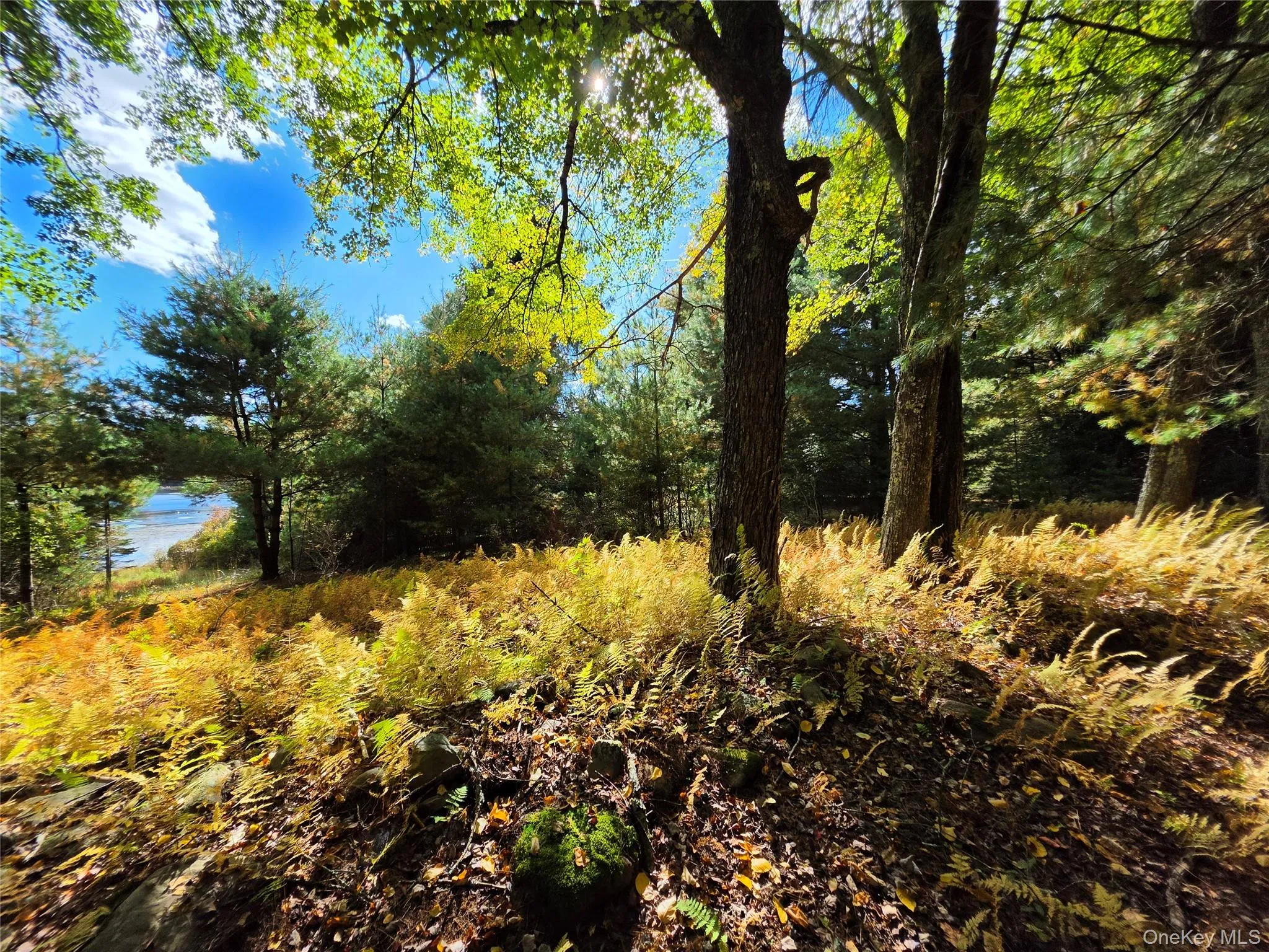 Lot 11 Deer Meadow Road, Bethel, NY, ,Land,For Rent,Deer Meadow,0,1063648 Lot 11 Deer Meadow Road, Bethel, NY, ,Land,For Rent,Deer Meadow,0,1063648
