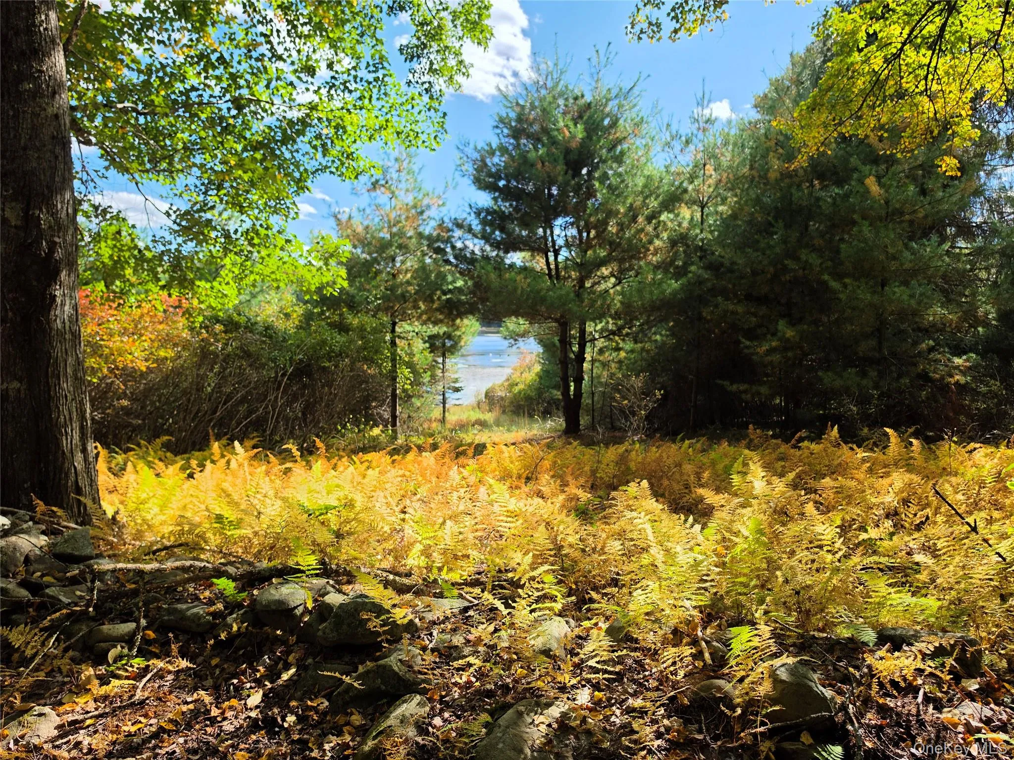 Lot 11 Deer Meadow Road, Bethel, NY, ,Land,For Rent,Deer Meadow,0,1063648 Lot 11 Deer Meadow Road, Bethel, NY, ,Land,For Rent,Deer Meadow,0,1063648