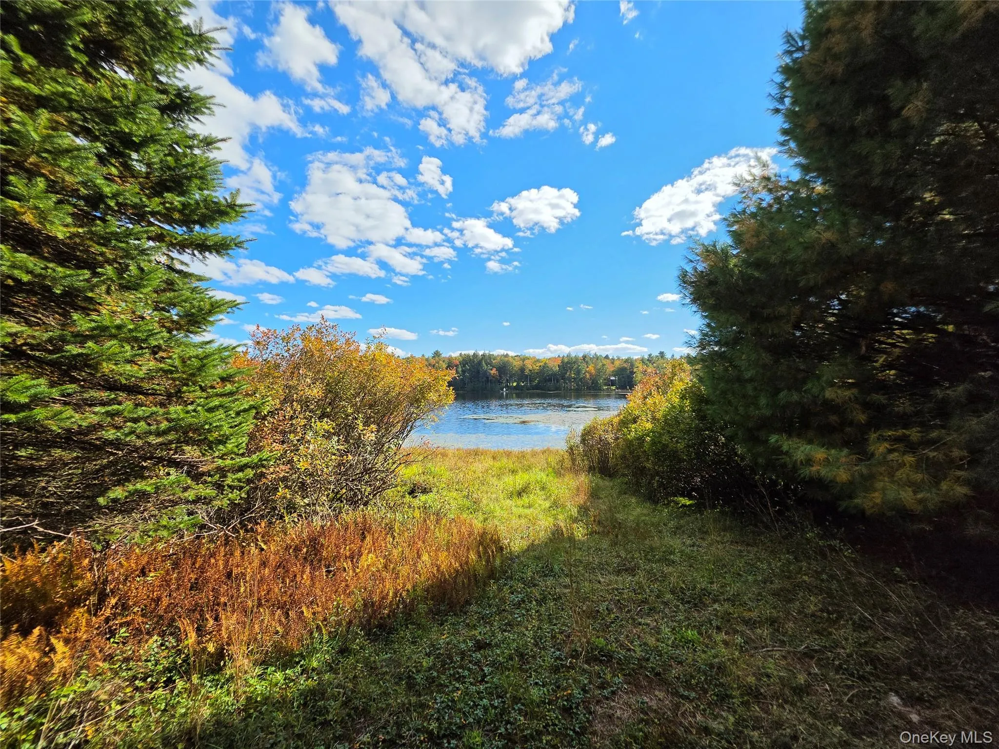 Lot 11 Deer Meadow Road, Bethel, NY, ,Land,For Rent,Deer Meadow,0,1063648 Lot 11 Deer Meadow Road, Bethel, NY, ,Land,For Rent,Deer Meadow,0,1063648