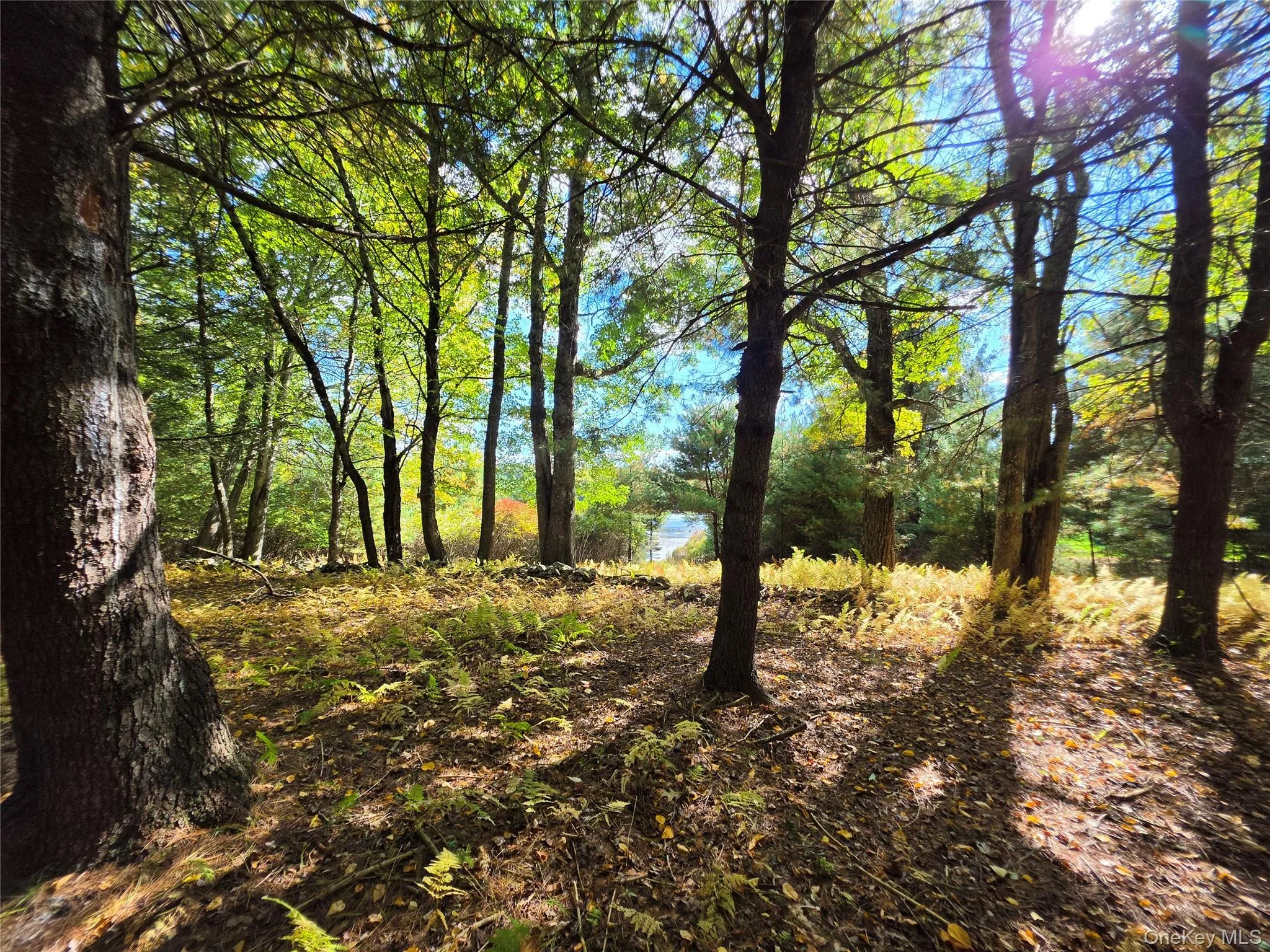Lot 11 Deer Meadow Road, Bethel, NY, ,Land,For Rent,Deer Meadow,0,1063648 Lot 11 Deer Meadow Road, Bethel, NY, ,Land,For Rent,Deer Meadow,0,1063648