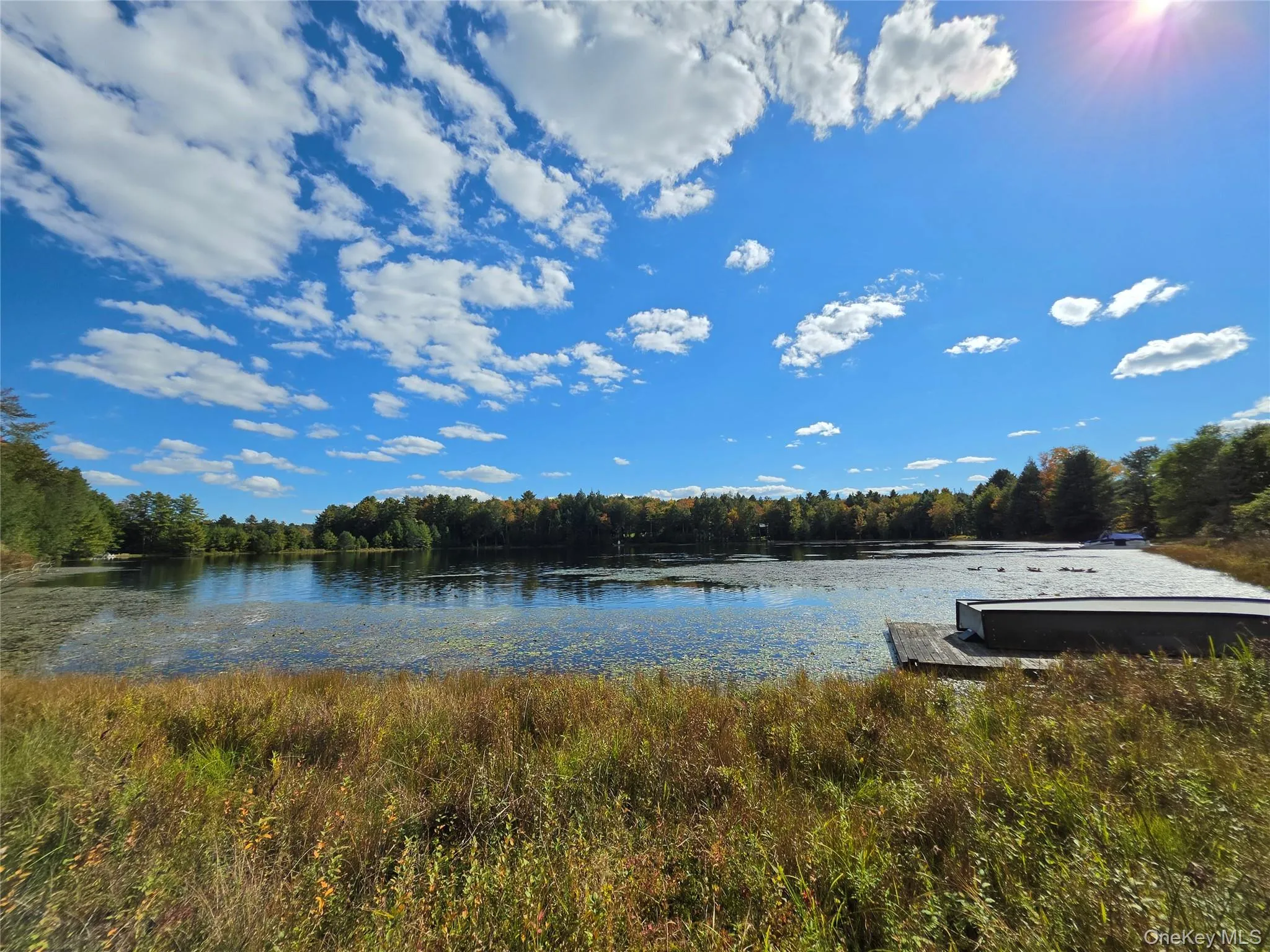Lot 11 Deer Meadow Road, Bethel, NY, ,Land,For Rent,Deer Meadow,0,1063648 Lot 11 Deer Meadow Road, Bethel, NY, ,Land,For Rent,Deer Meadow,0,1063648