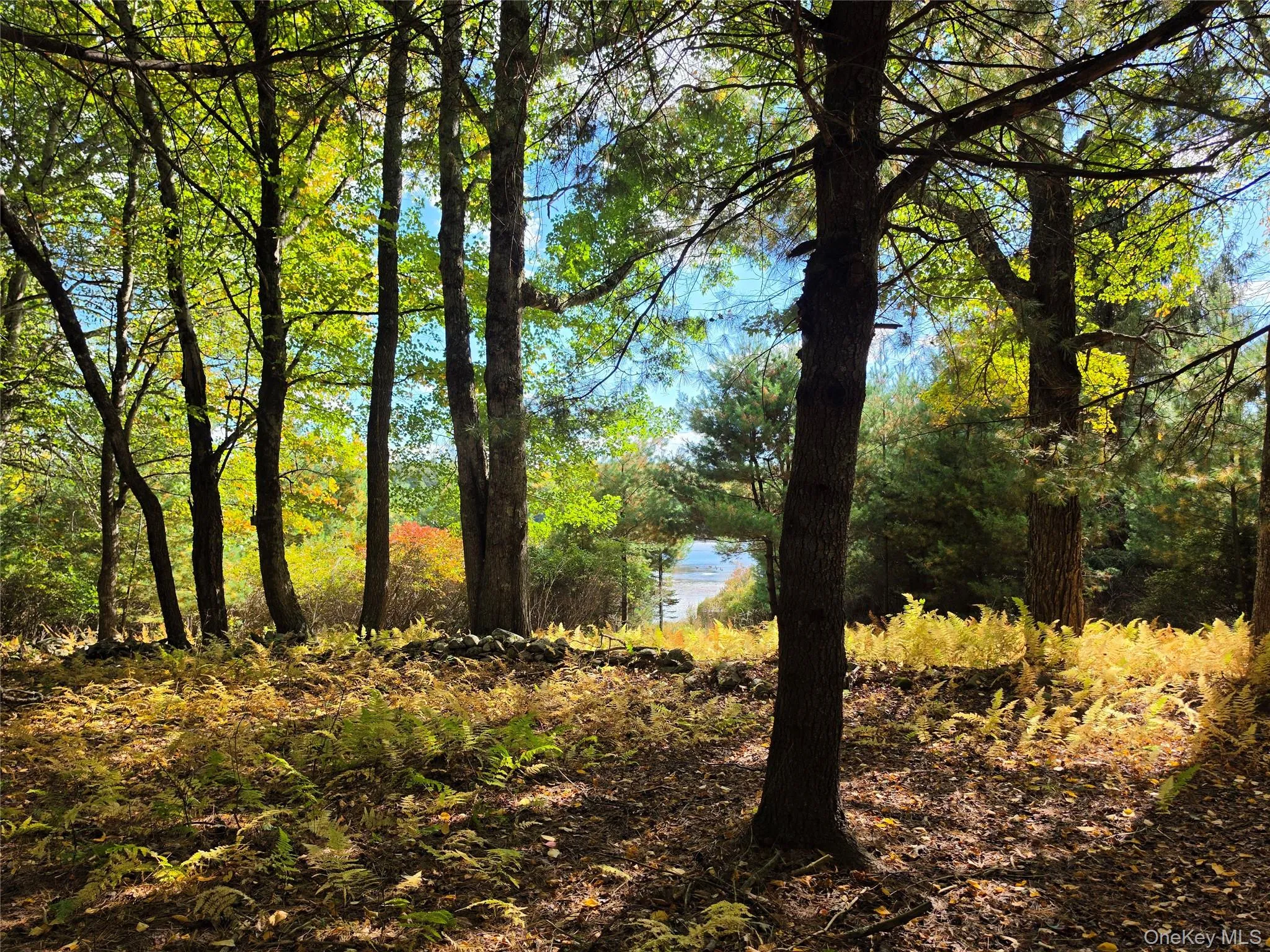 Lot 11 Deer Meadow Road, Bethel, NY, ,Land,For Rent,Deer Meadow,0,1063648 Lot 11 Deer Meadow Road, Bethel, NY, ,Land,For Rent,Deer Meadow,0,1063648