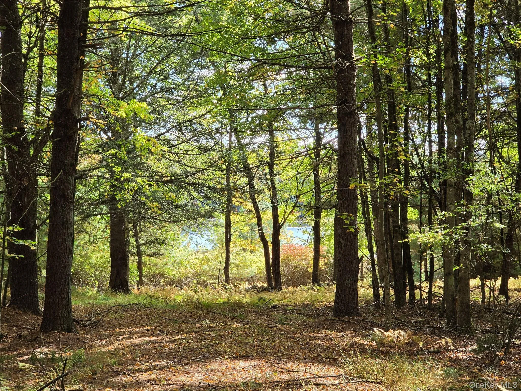 Lot 11 Deer Meadow Road, Bethel, NY, ,Land,For Rent,Deer Meadow,0,1063648 Lot 11 Deer Meadow Road, Bethel, NY, ,Land,For Rent,Deer Meadow,0,1063648