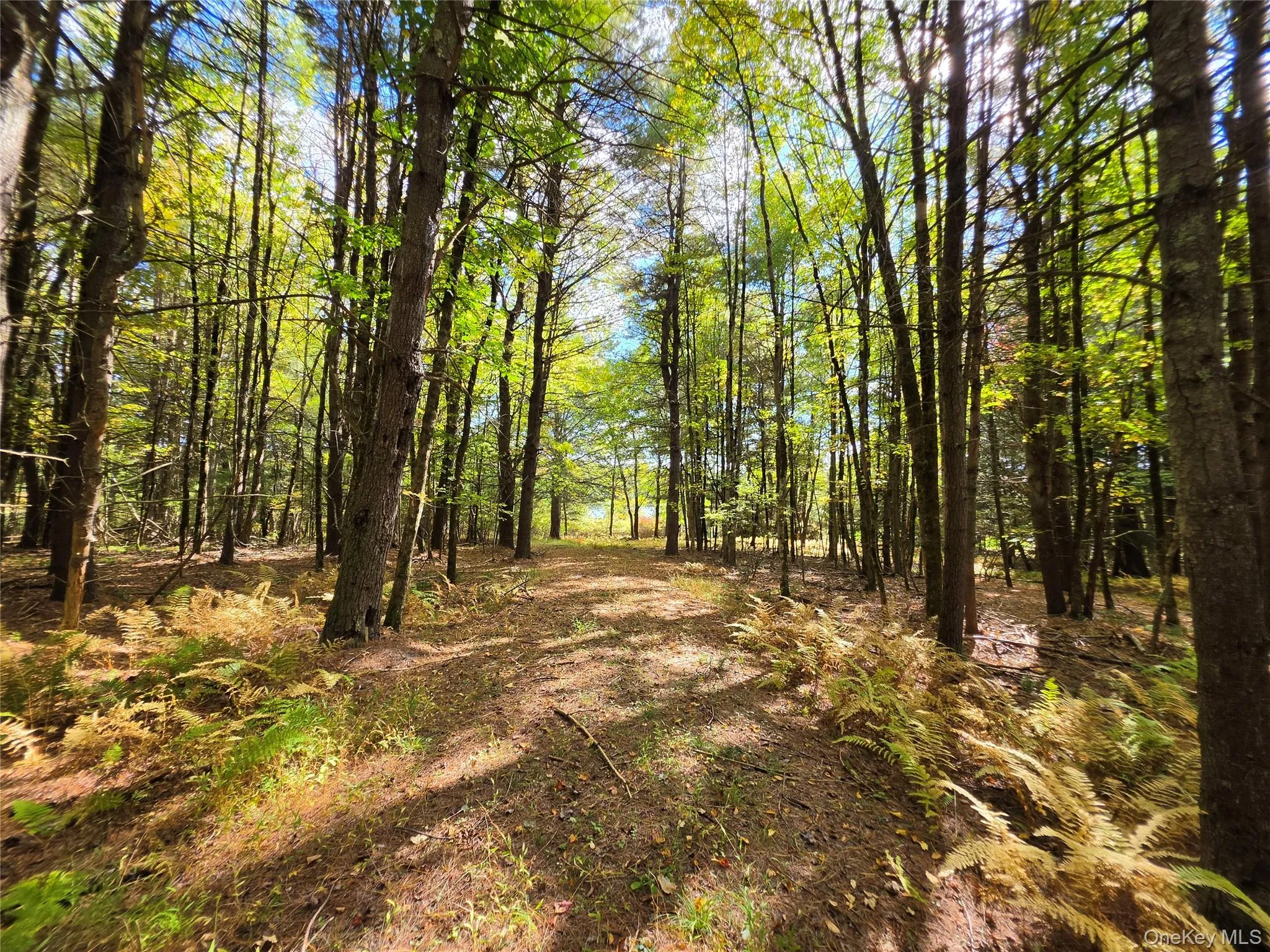 Lot 11 Deer Meadow Road, Bethel, NY, ,Land,For Rent,Deer Meadow,0,1063648 Lot 11 Deer Meadow Road, Bethel, NY, ,Land,For Rent,Deer Meadow,0,1063648