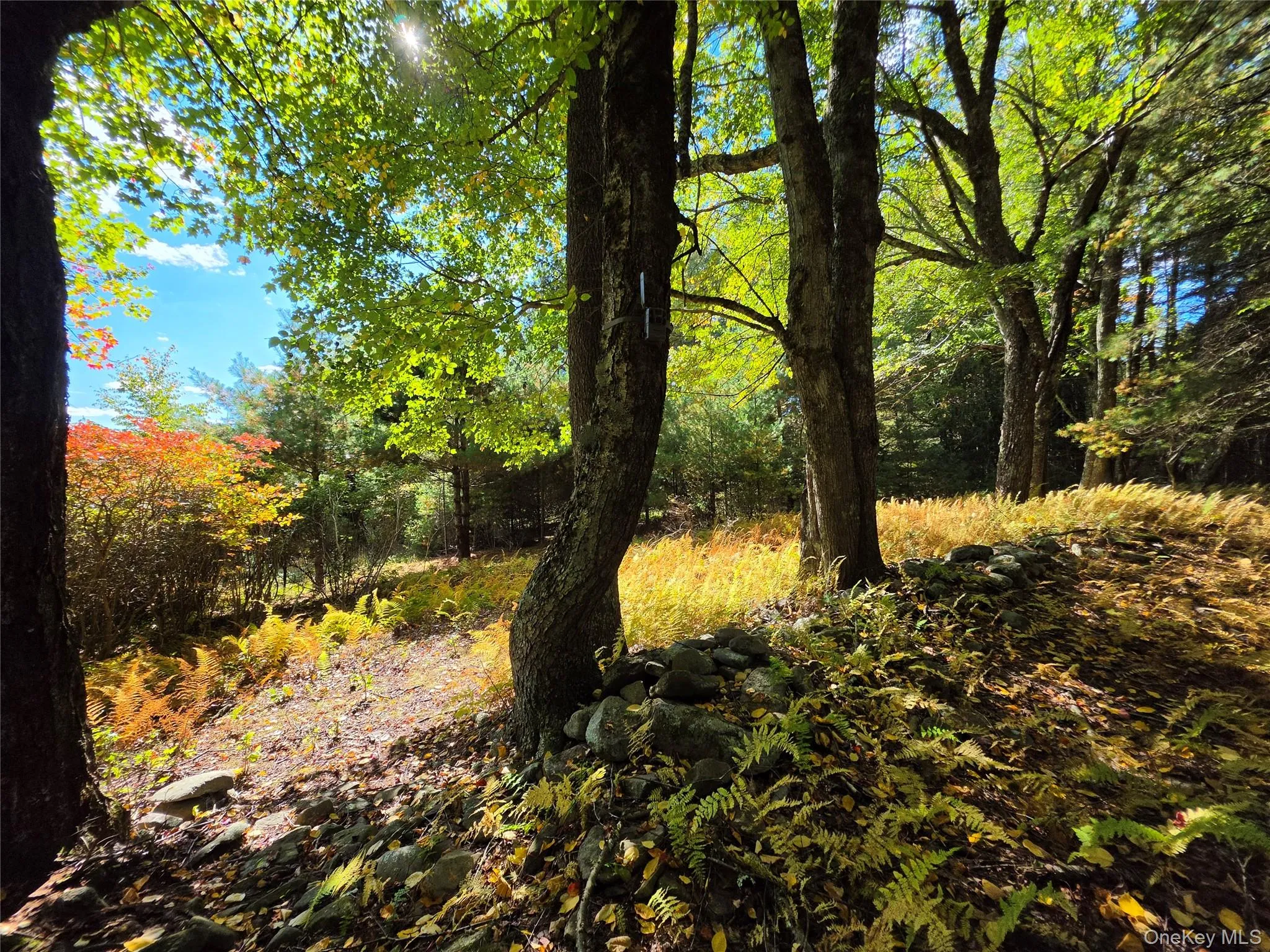 Lot 11 Deer Meadow Road, Bethel, NY, ,Land,For Rent,Deer Meadow,0,1063648 Lot 11 Deer Meadow Road, Bethel, NY, ,Land,For Rent,Deer Meadow,0,1063648
