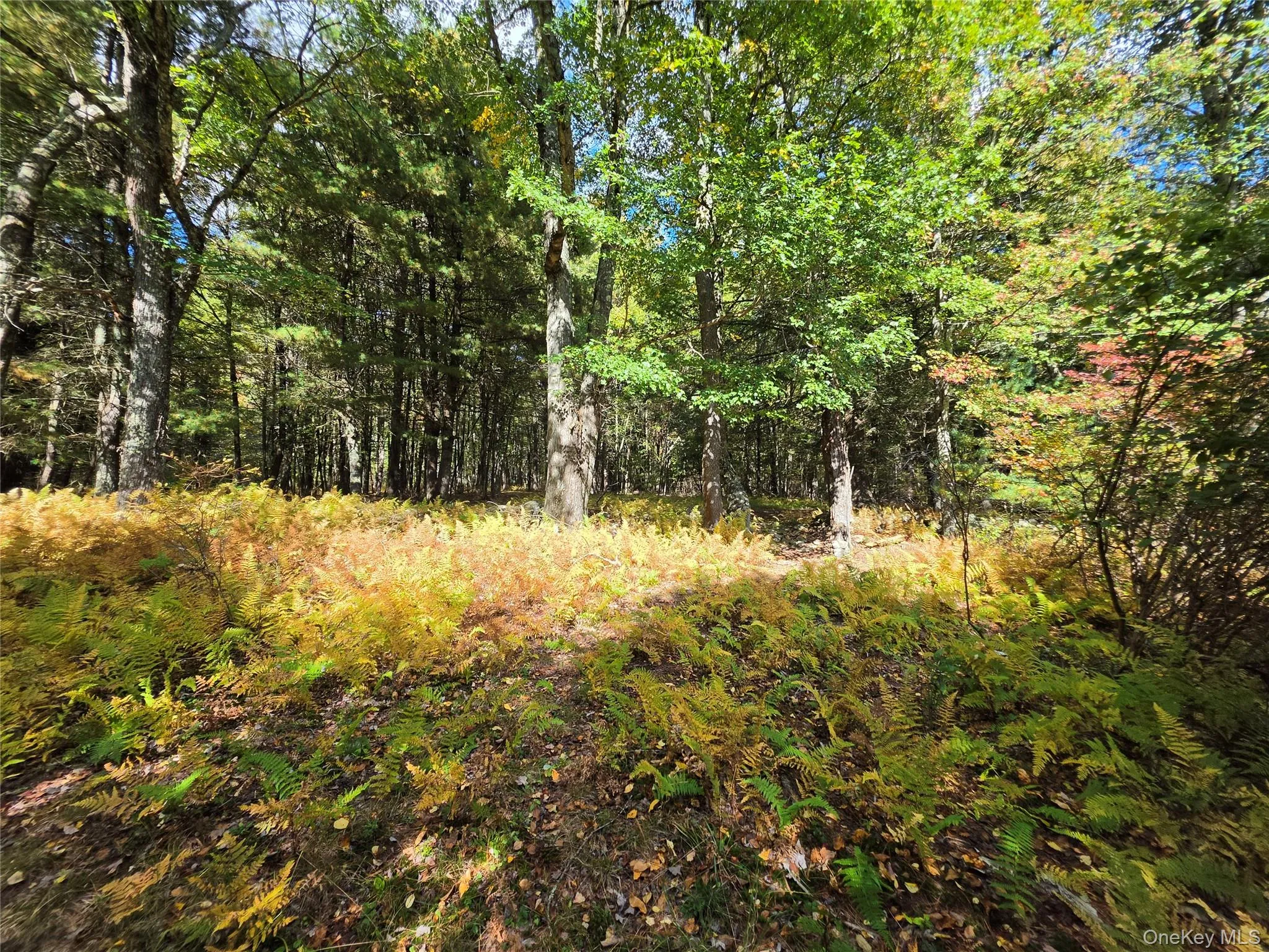 Lot 11 Deer Meadow Road, Bethel, NY, ,Land,For Rent,Deer Meadow,0,1063648 Lot 11 Deer Meadow Road, Bethel, NY, ,Land,For Rent,Deer Meadow,0,1063648