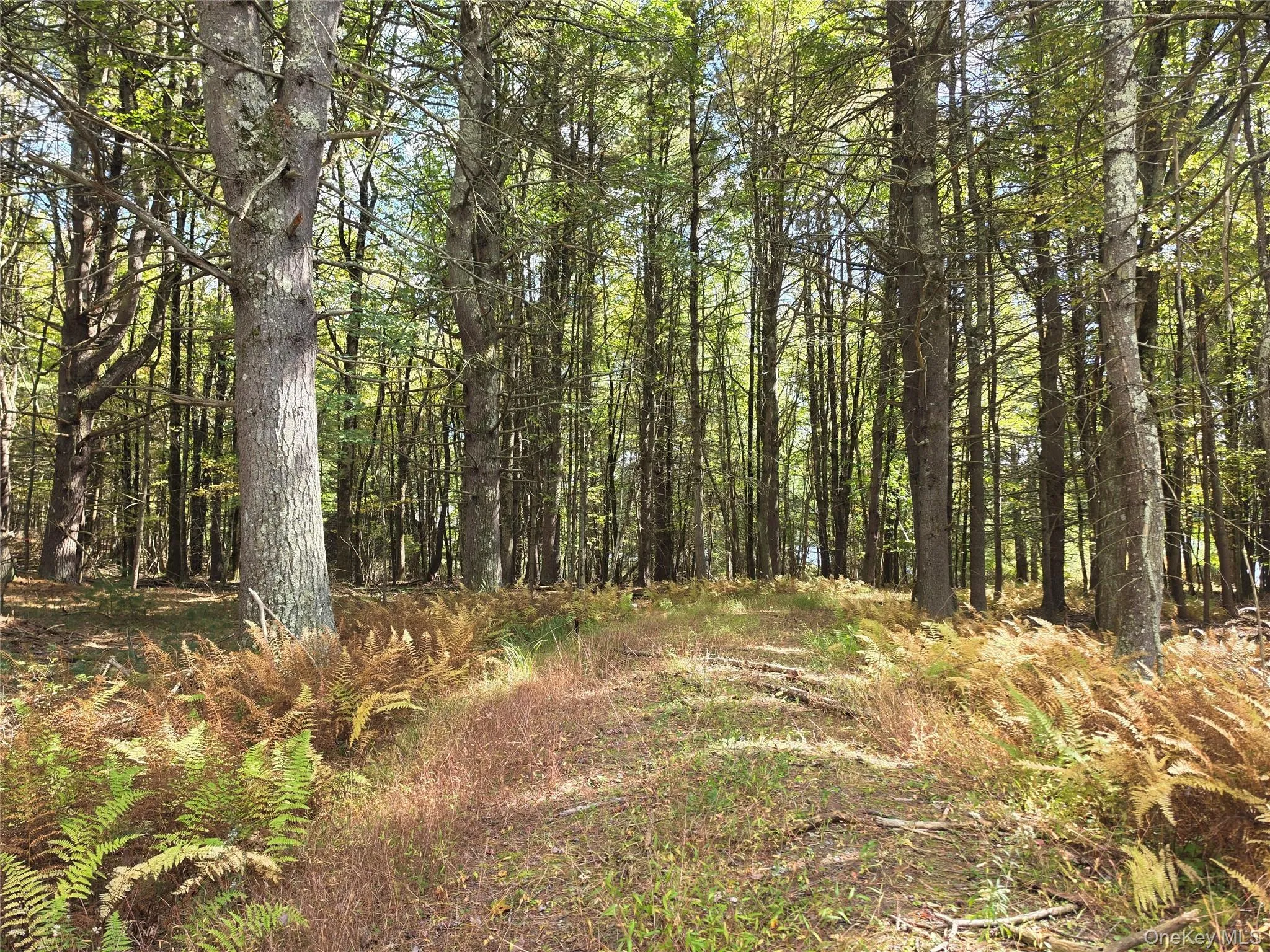 Lot 11 Deer Meadow Road, Bethel, NY, ,Land,For Rent,Deer Meadow,0,1063648 Lot 11 Deer Meadow Road, Bethel, NY, ,Land,For Rent,Deer Meadow,0,1063648