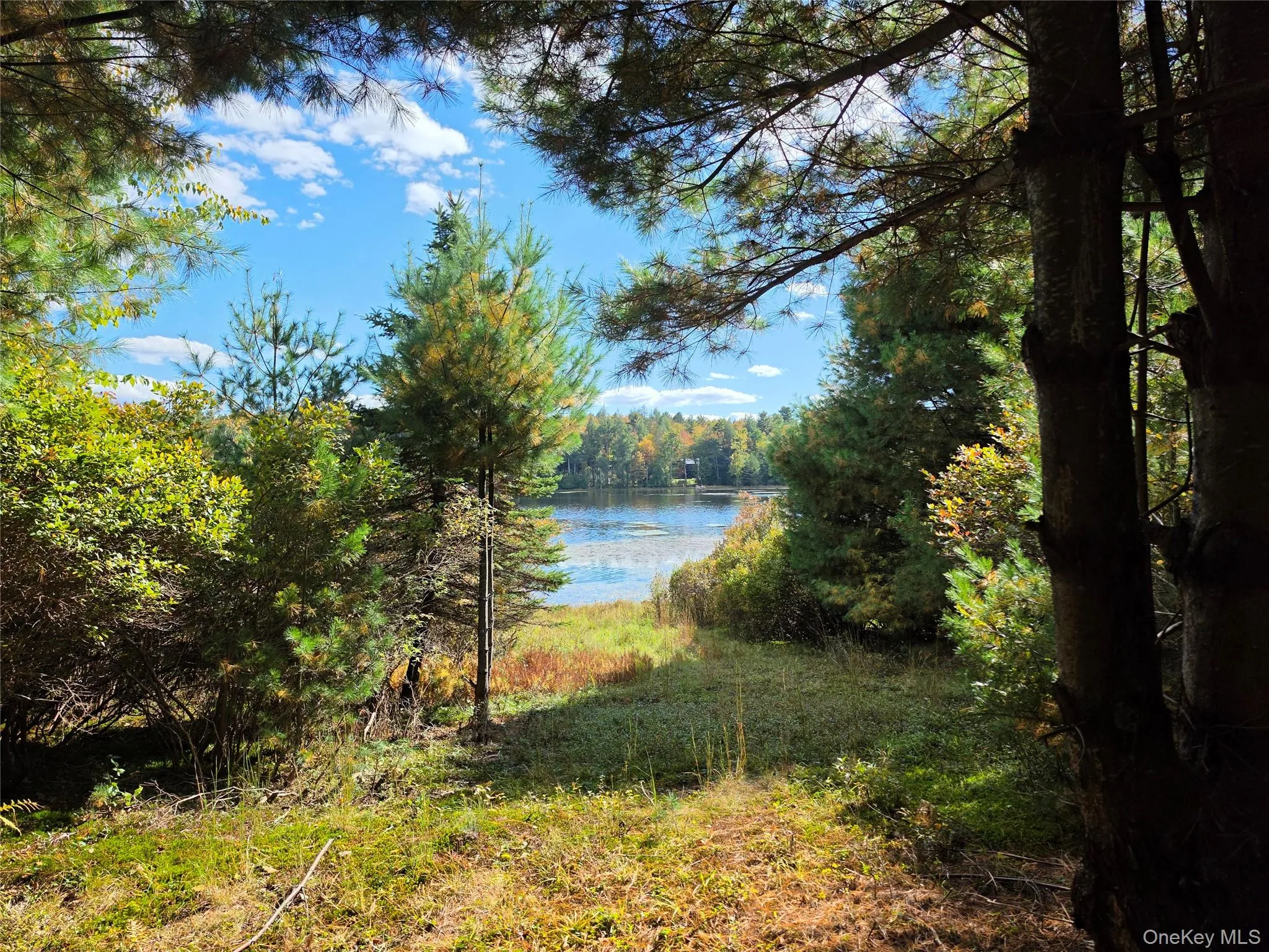 Lot 11 Deer Meadow Road, Bethel, NY, ,Land,For Rent,Deer Meadow,0,1063648 Lot 11 Deer Meadow Road, Bethel, NY, ,Land,For Rent,Deer Meadow,0,1063648