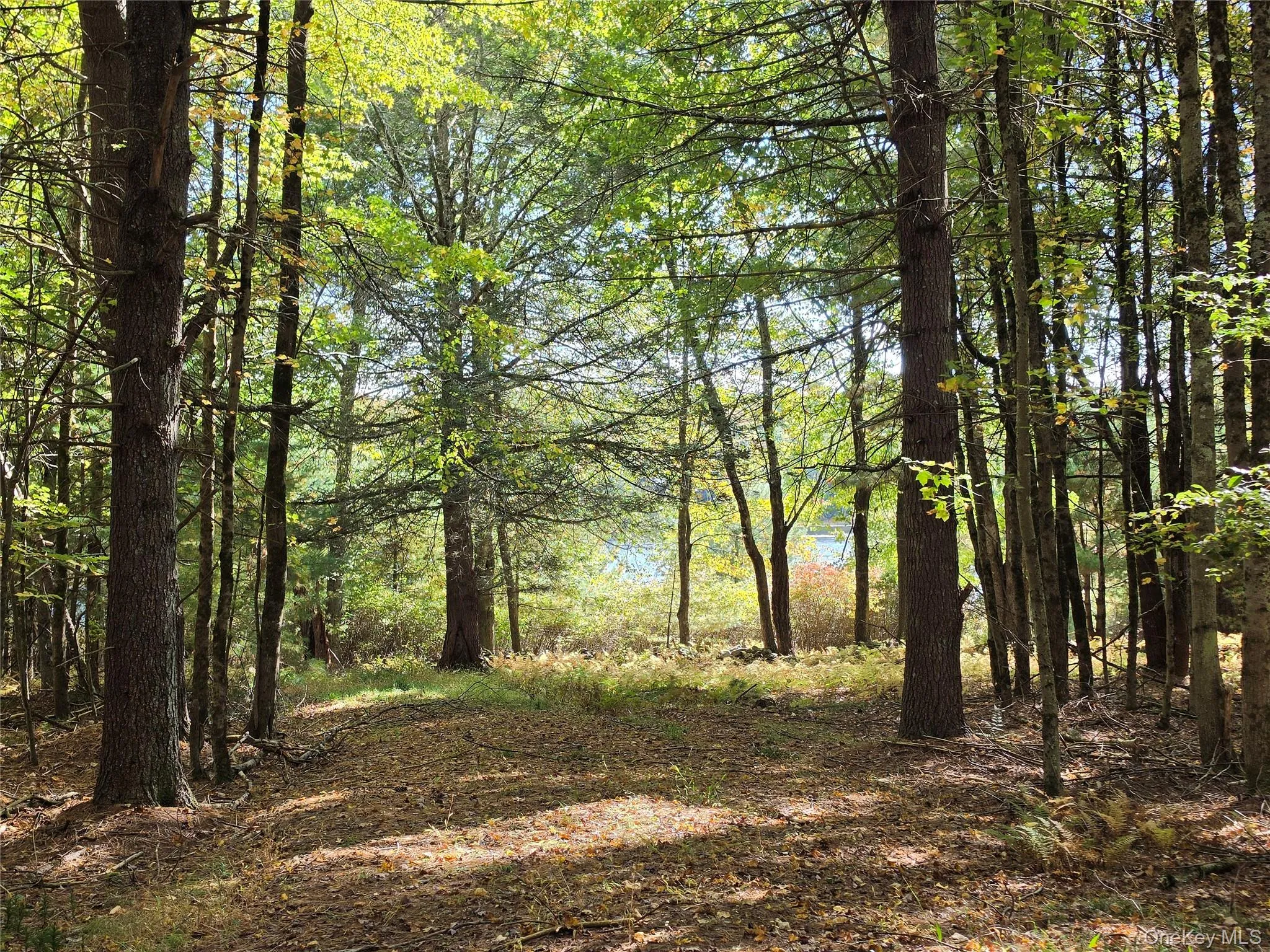 Lot 11 Deer Meadow Road, Bethel, NY, ,Land,For Rent,Deer Meadow,0,1063648 Lot 11 Deer Meadow Road, Bethel, NY, ,Land,For Rent,Deer Meadow,0,1063648