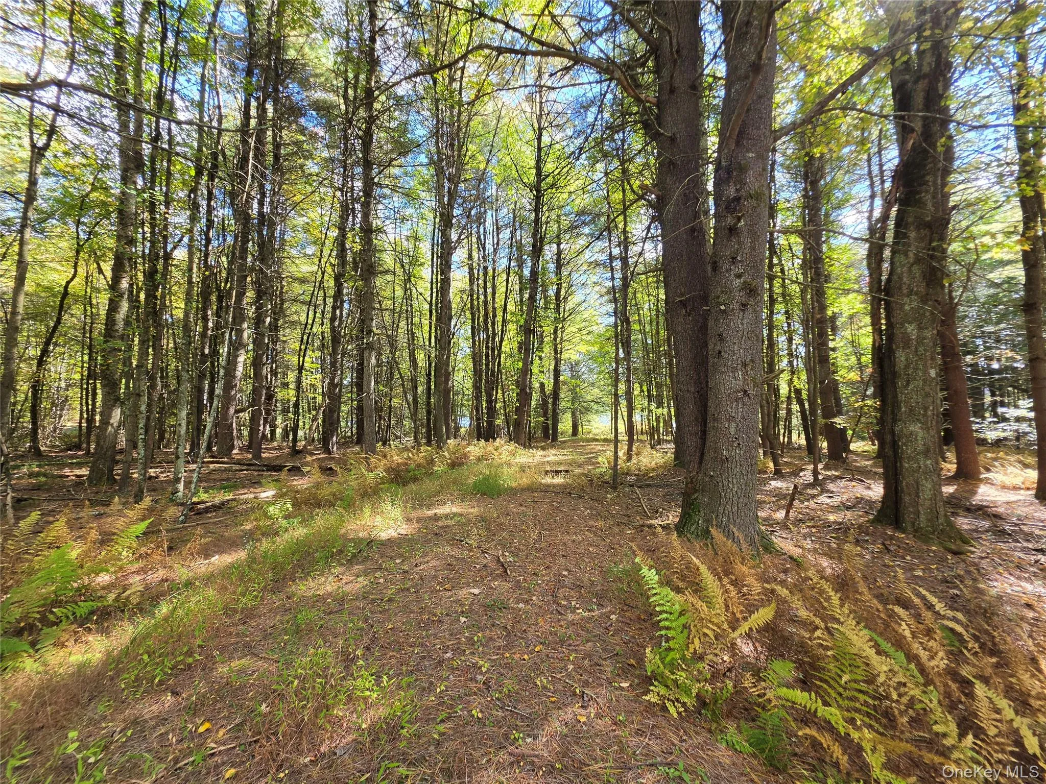 Lot 11 Deer Meadow Road, Bethel, NY, ,Land,For Rent,Deer Meadow,0,1063648 Lot 11 Deer Meadow Road, Bethel, NY, ,Land,For Rent,Deer Meadow,0,1063648