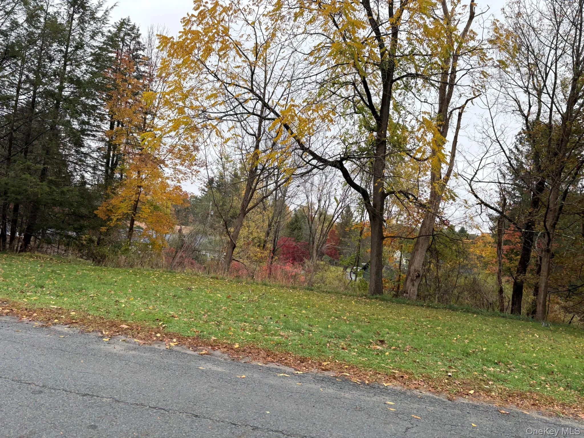Fairway Avenue, Liberty, NY, ,Land,For Rent,Fairway,0,1063680 Fairway Avenue, Liberty, NY, ,Land,For Rent,Fairway,0,1063680