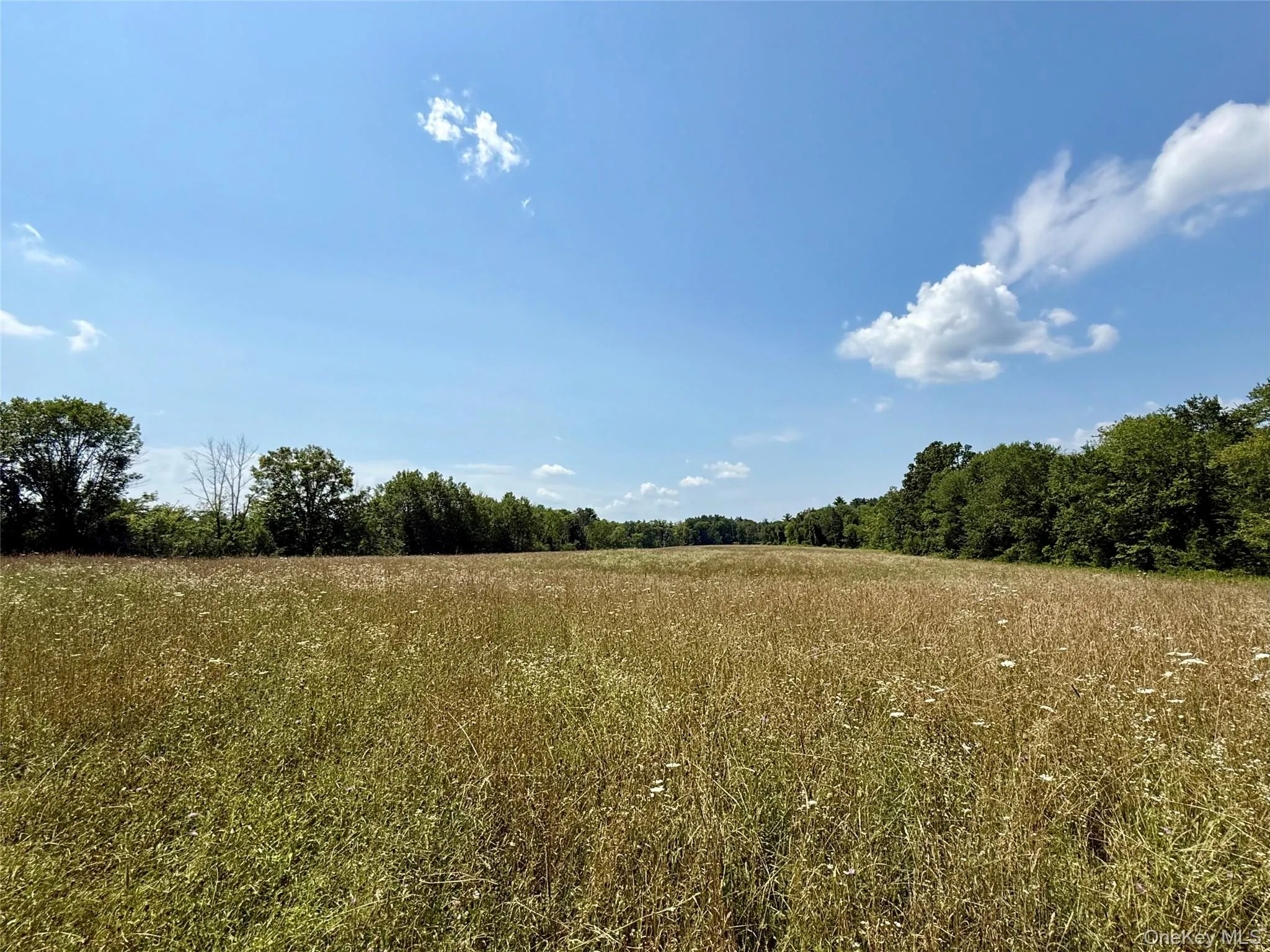Shawangunk Road, Wallkill, NY, ,Land,For Rent,Shawangunk,0,1063727 Shawangunk Road, Wallkill, NY, ,Land,For Rent,Shawangunk,0,1063727