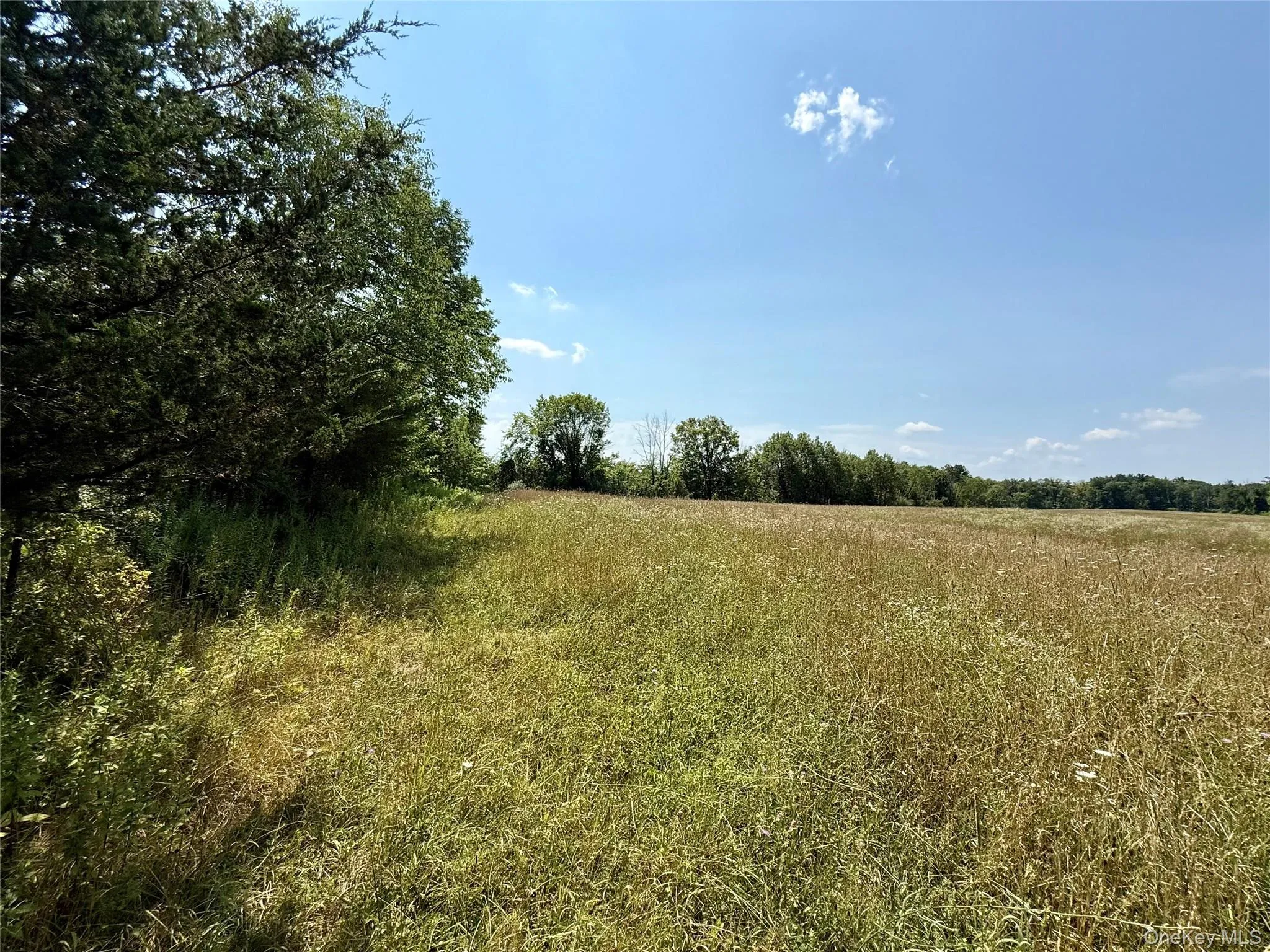 Shawangunk Road, Wallkill, NY, ,Land,For Rent,Shawangunk,0,1063727 Shawangunk Road, Wallkill, NY, ,Land,For Rent,Shawangunk,0,1063727