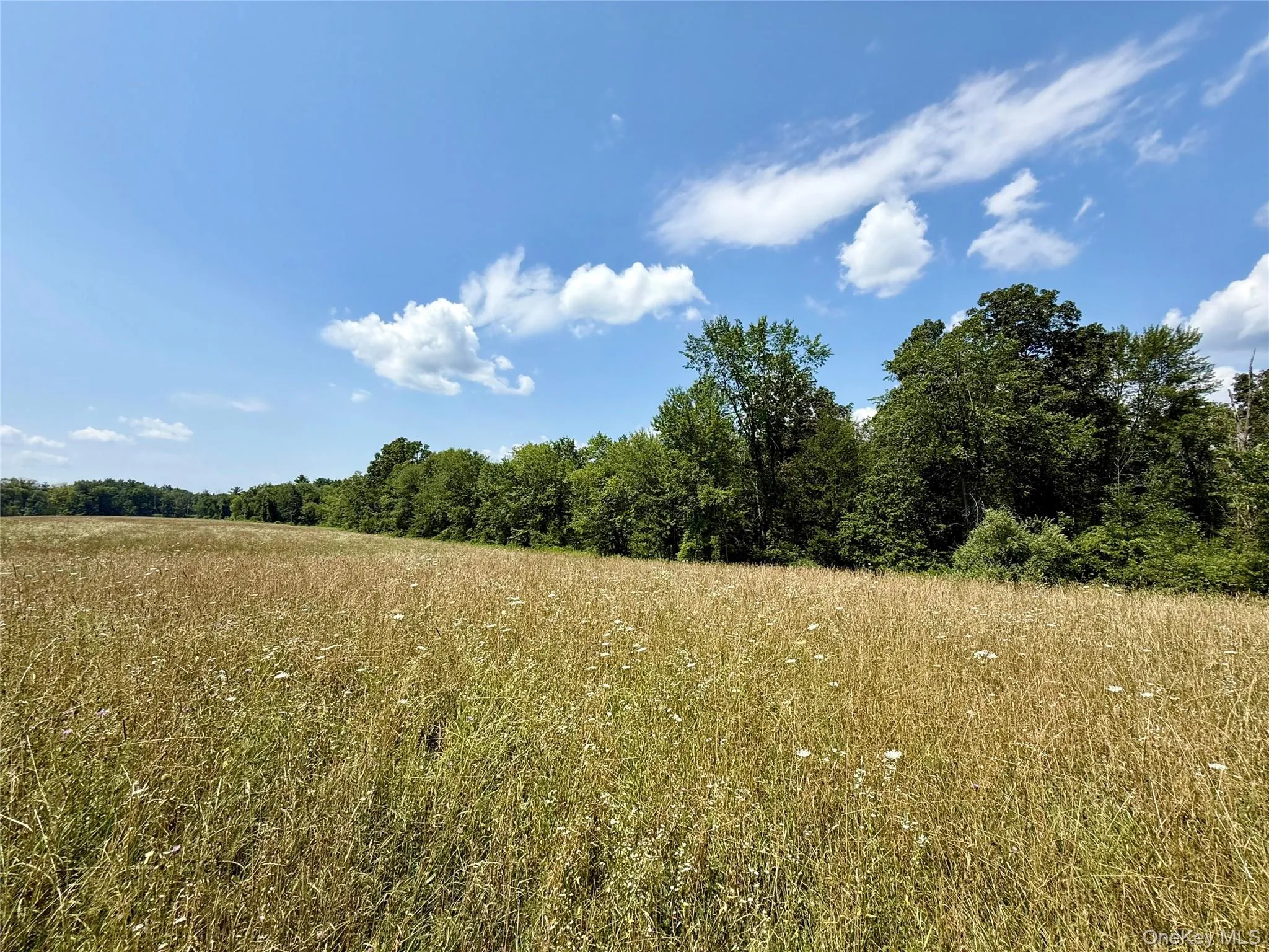 Shawangunk Road, Wallkill, NY, ,Land,For Rent,Shawangunk,0,1063727 Shawangunk Road, Wallkill, NY, ,Land,For Rent,Shawangunk,0,1063727