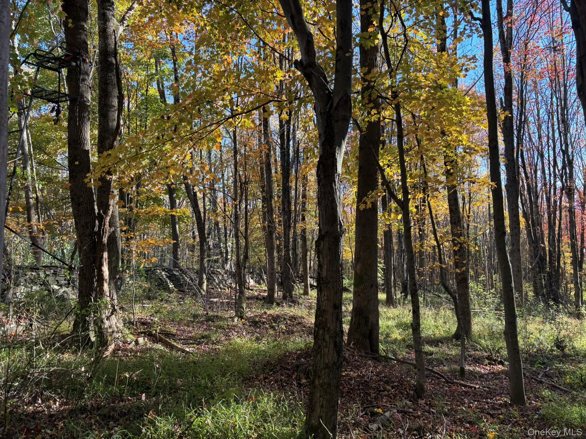 ROW off Chaffee Road, Liberty, NY, ,Land,For Rent,ROW off Chaffee,0,1063752 ROW off Chaffee Road, Liberty, NY, ,Land,For Rent,ROW off Chaffee,0,1063752