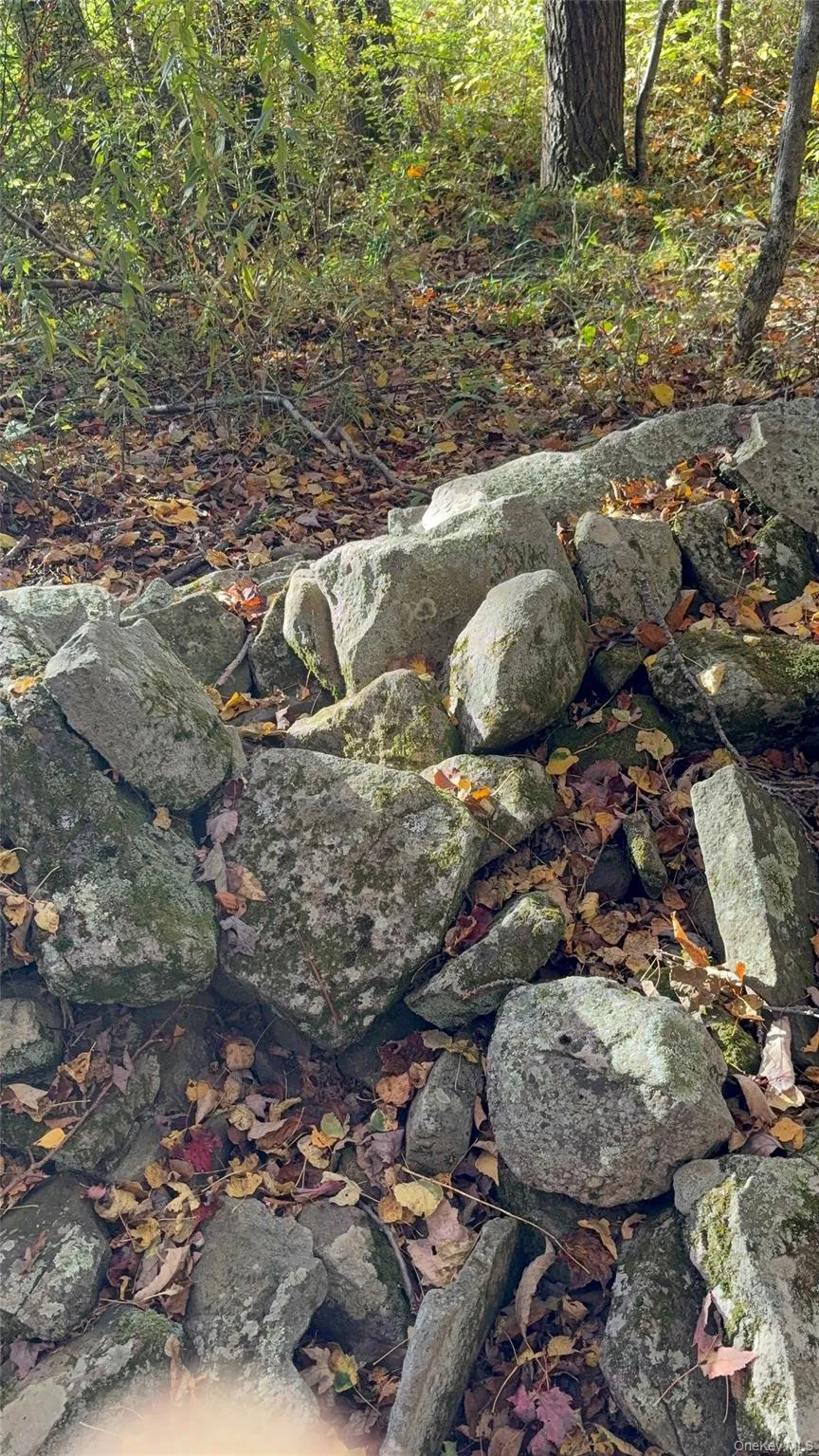 ROW off Chaffee Road, Liberty, NY, ,Land,For Rent,ROW off Chaffee,0,1063752 ROW off Chaffee Road, Liberty, NY, ,Land,For Rent,ROW off Chaffee,0,1063752