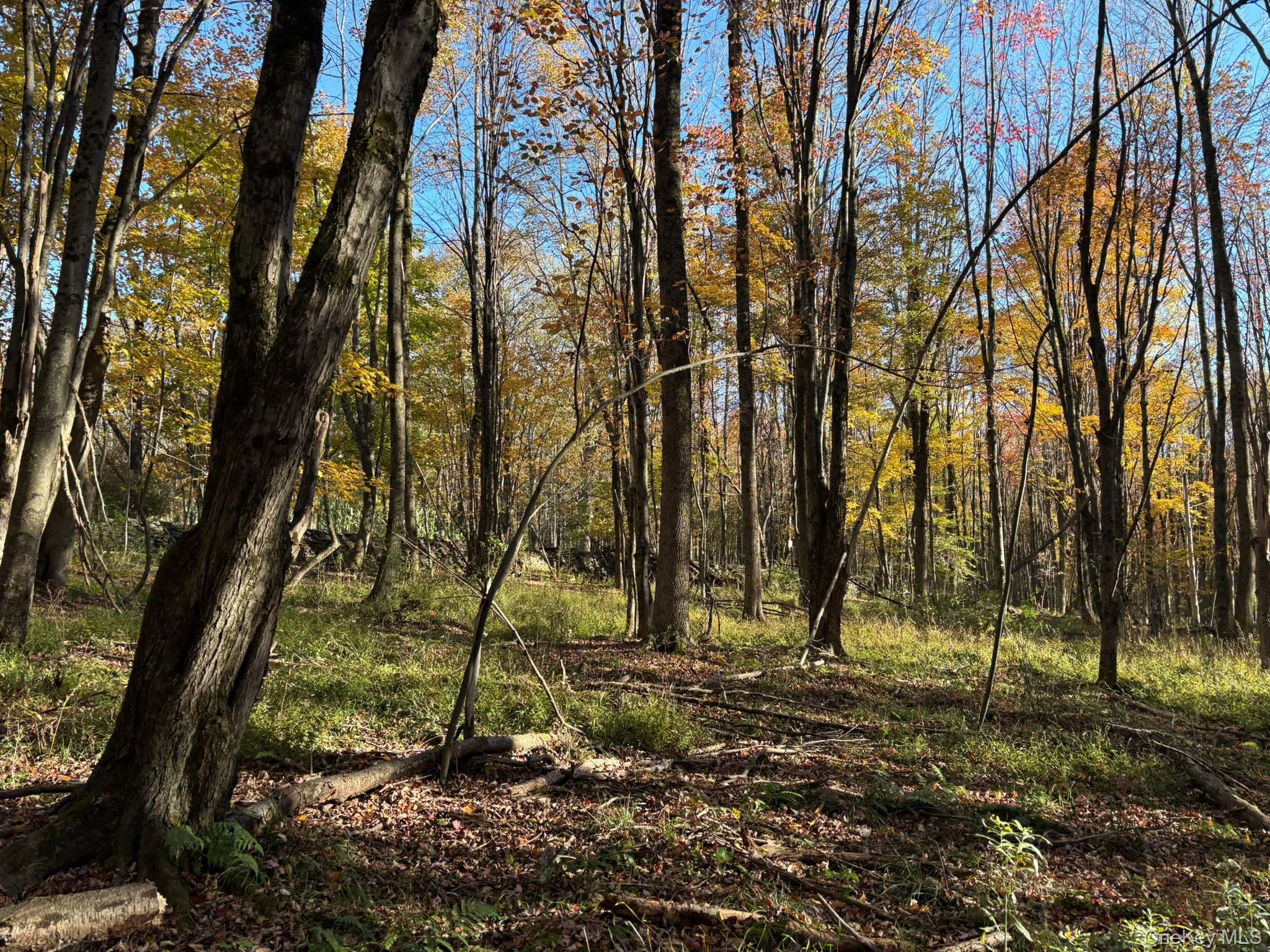 ROW off Chaffee Road, Liberty, NY, ,Land,For Rent,ROW off Chaffee,0,1063752 ROW off Chaffee Road, Liberty, NY, ,Land,For Rent,ROW off Chaffee,0,1063752