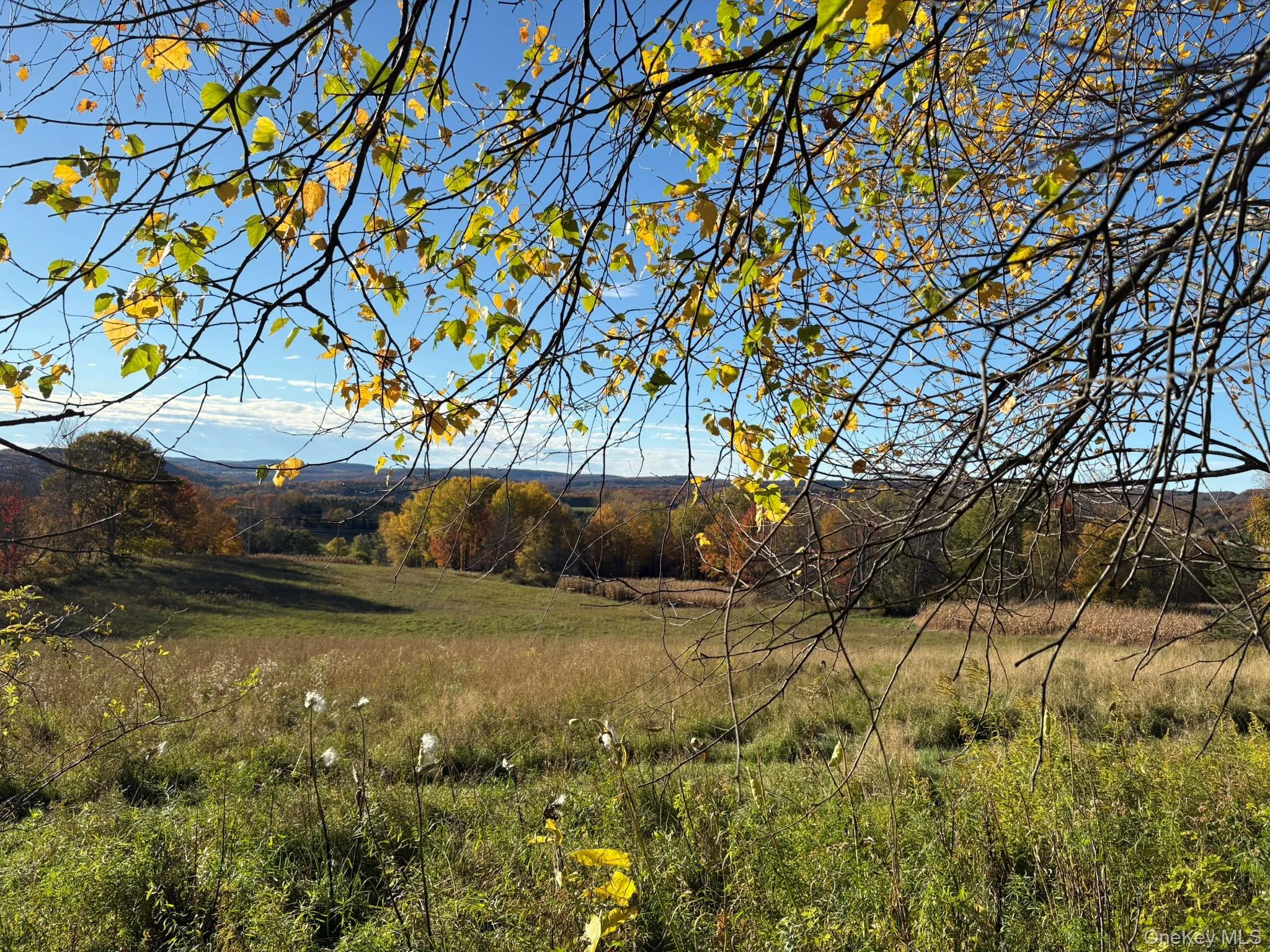 ROW off Chaffee Road, Liberty, NY, ,Land,For Rent,ROW off Chaffee,0,1063752 ROW off Chaffee Road, Liberty, NY, ,Land,For Rent,ROW off Chaffee,0,1063752
