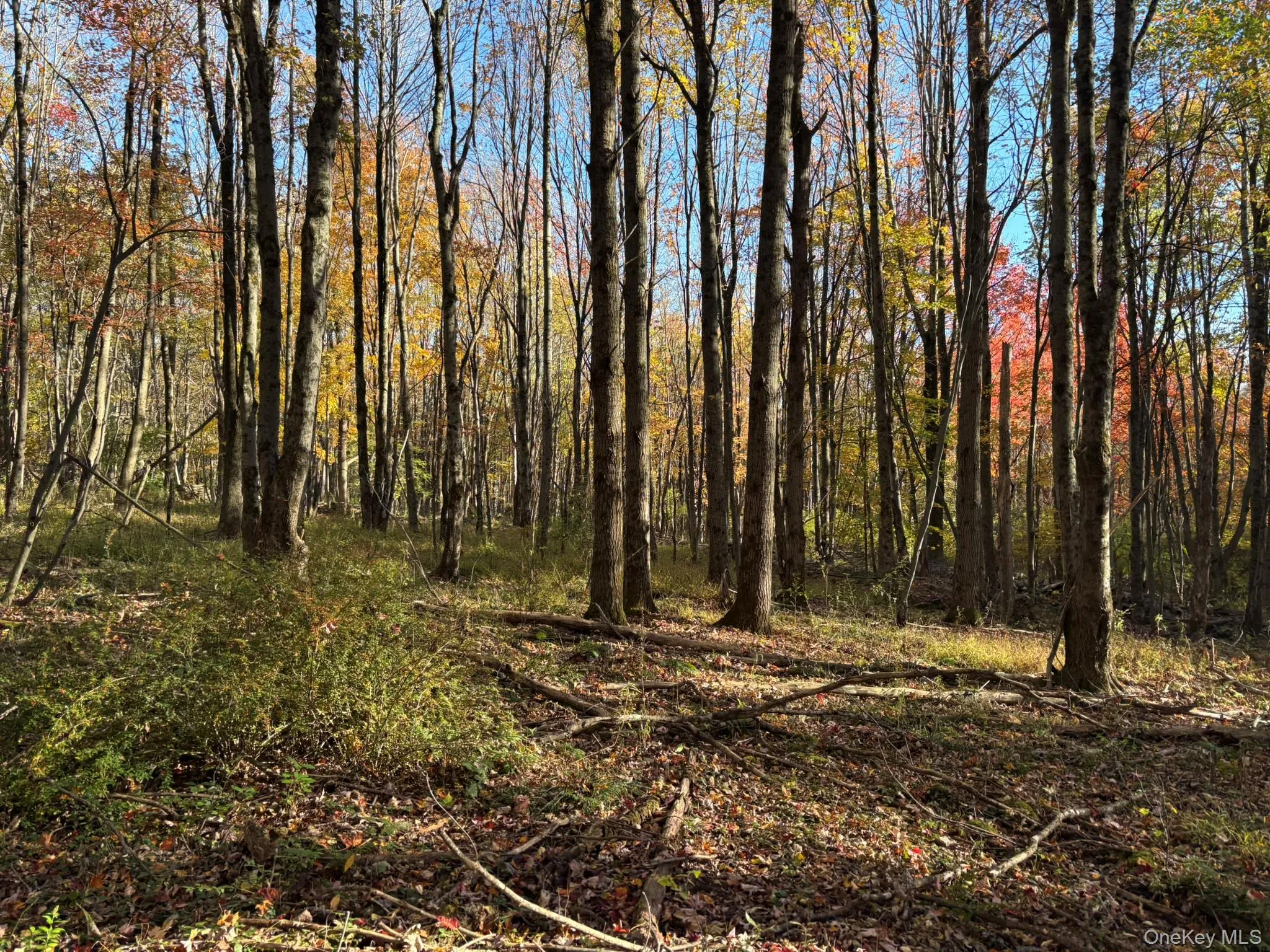 ROW off Chaffee Road, Liberty, NY, ,Land,For Rent,ROW off Chaffee,0,1063752 ROW off Chaffee Road, Liberty, NY, ,Land,For Rent,ROW off Chaffee,0,1063752