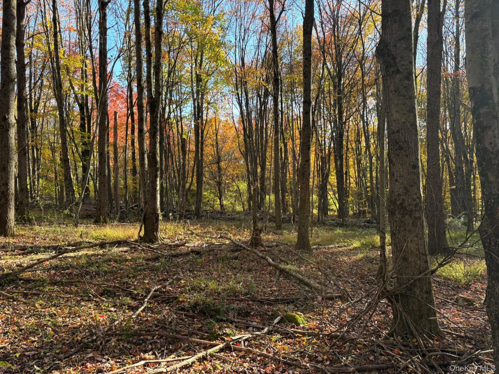 ROW off Chaffee Road, Liberty, NY, ,Land,For Rent,ROW off Chaffee,0,1063752 ROW off Chaffee Road, Liberty, NY, ,Land,For Rent,ROW off Chaffee,0,1063752