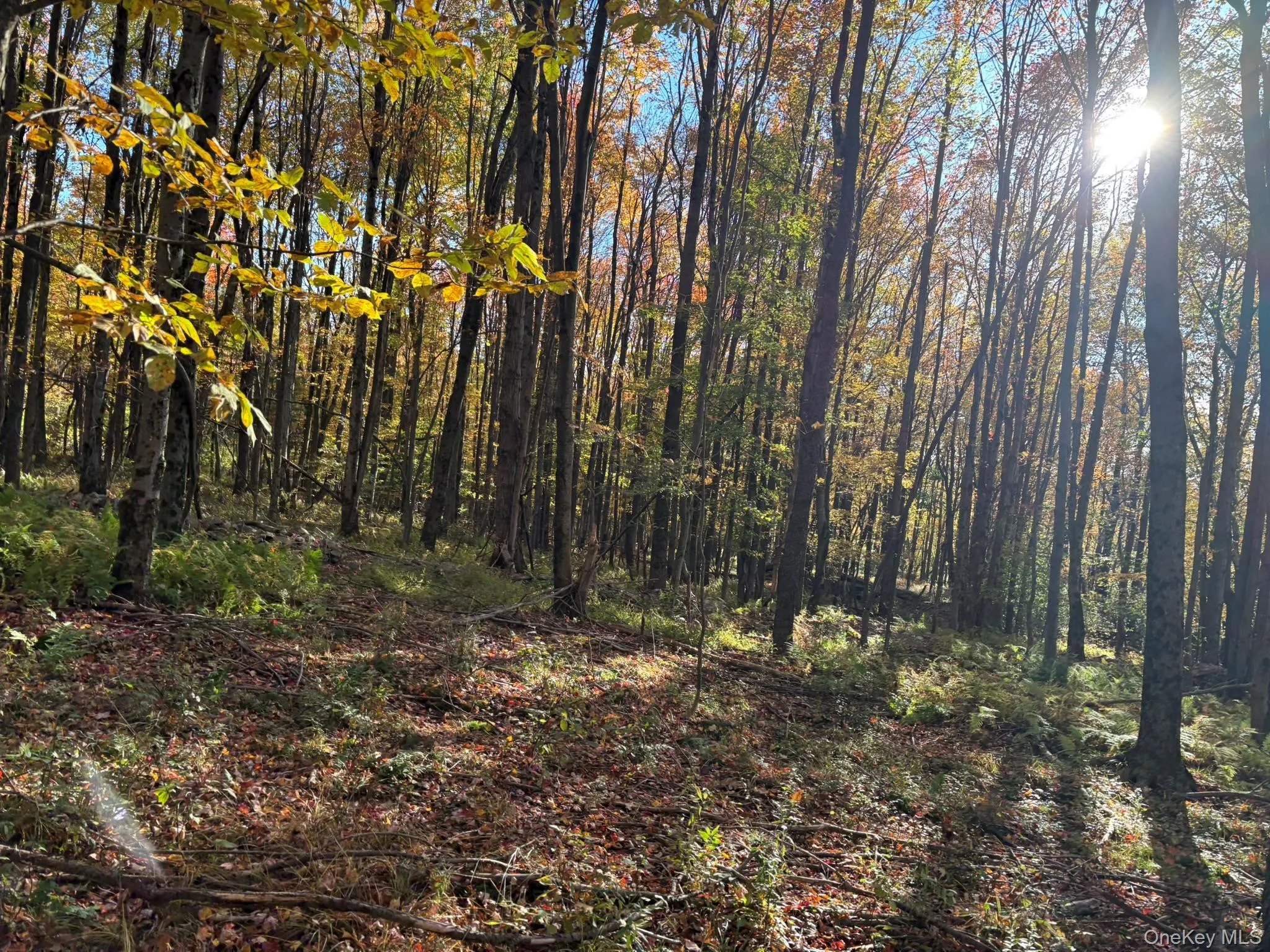 ROW off Chaffee Road, Liberty, NY, ,Land,For Rent,ROW off Chaffee,0,1063752 ROW off Chaffee Road, Liberty, NY, ,Land,For Rent,ROW off Chaffee,0,1063752