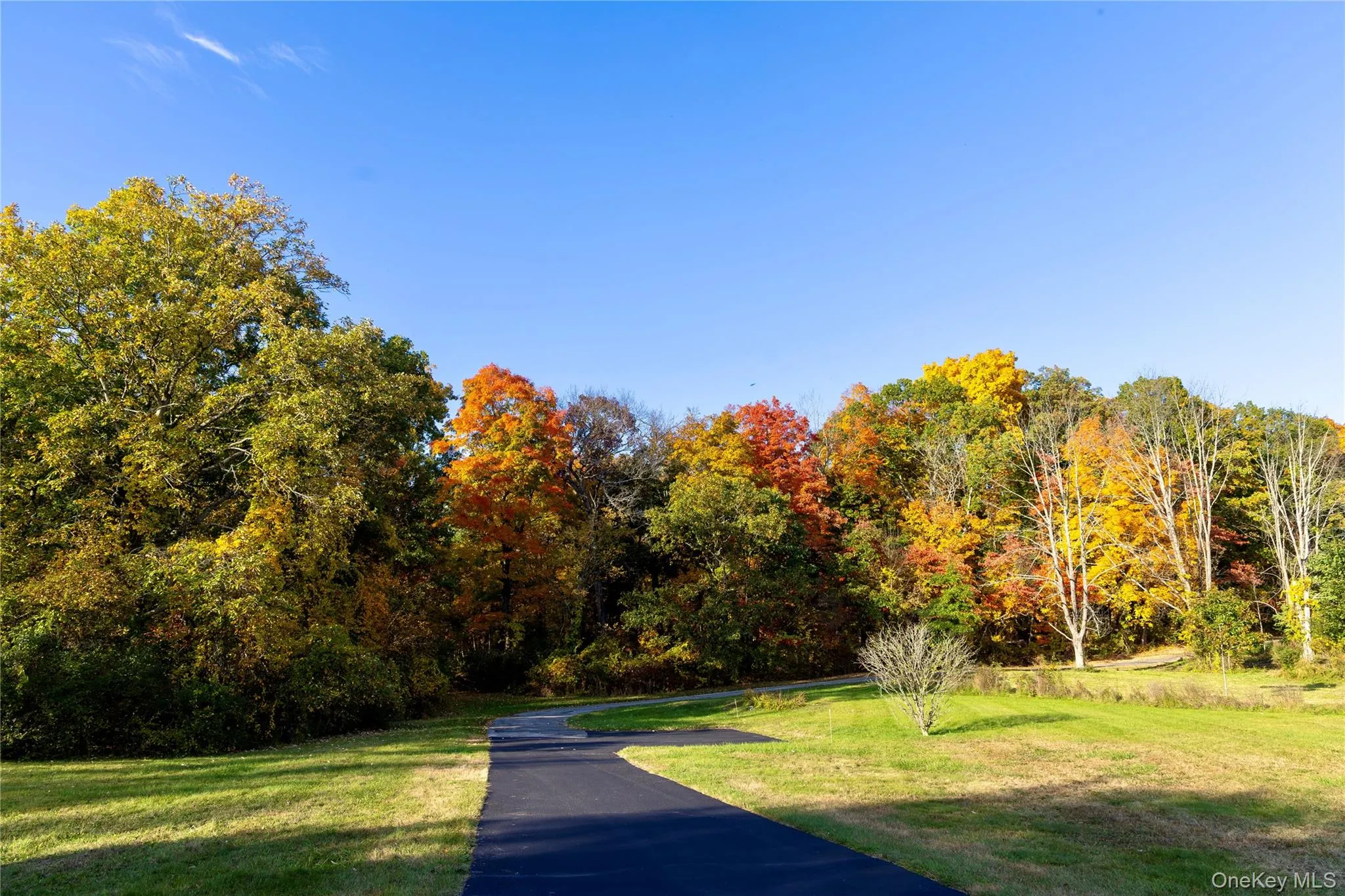 109 College Lane, Washington, NY, 4 Bedrooms Bedrooms, 10 Rooms Rooms,3 BathroomsBathrooms,Residential,For Rent,College,0,1063785 109 College Lane, Washington, NY, 4 Bedrooms Bedrooms, 10 Rooms Rooms,3 BathroomsBathrooms,Residential,For Rent,College,0,1063785