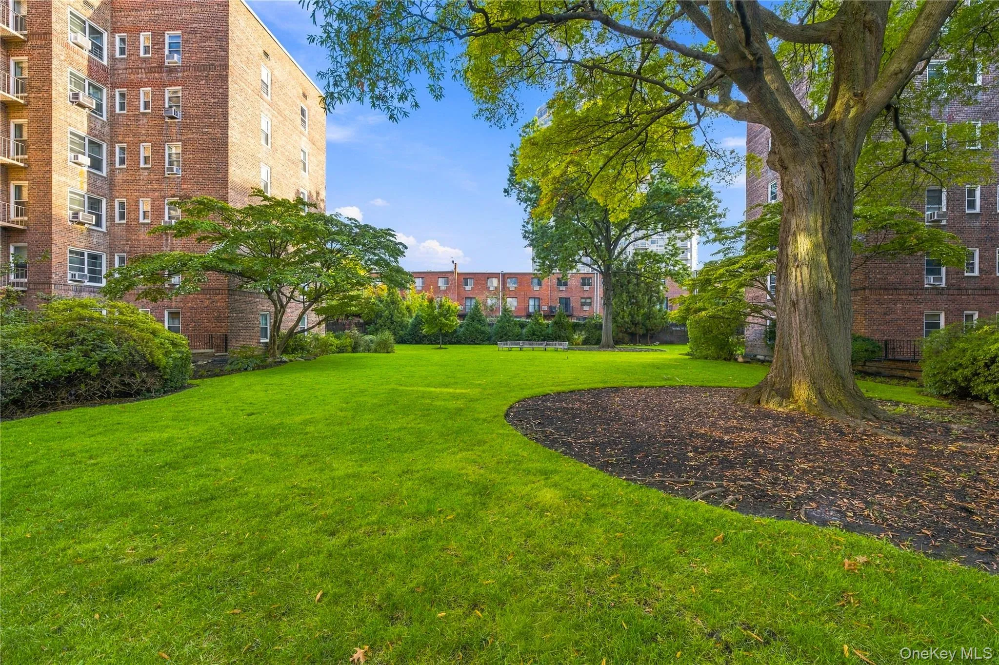 112-20 72ND Drive, New York, NY, 1 Bedroom Bedrooms, 4 Rooms Rooms,1 BathroomBathrooms,Residential,For Rent,72ND,0,1063793 112-20 72ND Drive, New York, NY, 1 Bedroom Bedrooms, 4 Rooms Rooms,1 BathroomBathrooms,Residential,For Rent,72ND,0,1063793
