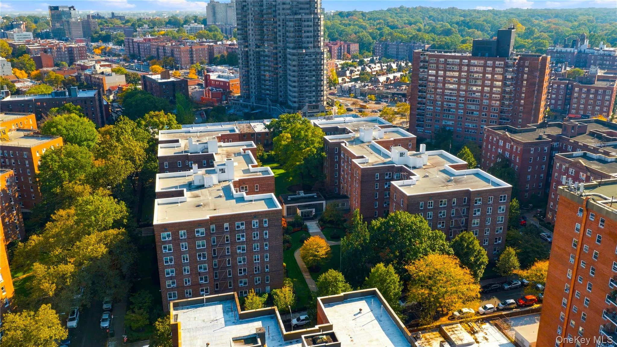 112-20 72ND Drive, New York, NY, 1 Bedroom Bedrooms, 4 Rooms Rooms,1 BathroomBathrooms,Residential,For Rent,72ND,0,1063793 112-20 72ND Drive, New York, NY, 1 Bedroom Bedrooms, 4 Rooms Rooms,1 BathroomBathrooms,Residential,For Rent,72ND,0,1063793