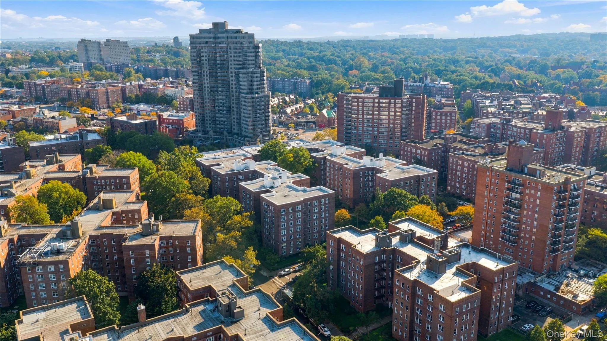 112-20 72ND Drive, New York, NY, 1 Bedroom Bedrooms, 4 Rooms Rooms,1 BathroomBathrooms,Residential,For Rent,72ND,0,1063793 112-20 72ND Drive, New York, NY, 1 Bedroom Bedrooms, 4 Rooms Rooms,1 BathroomBathrooms,Residential,For Rent,72ND,0,1063793