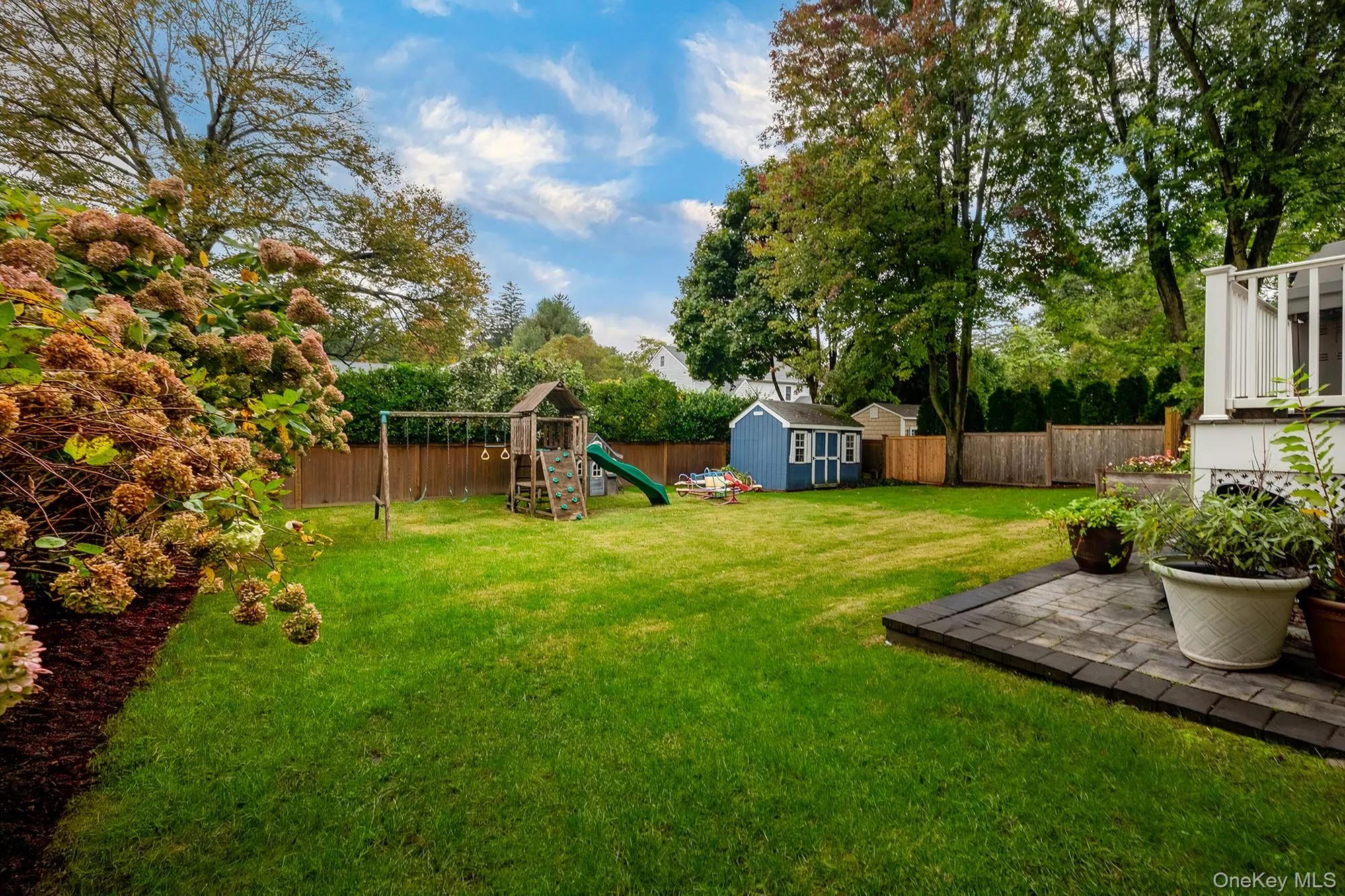 Backyard Backyard
