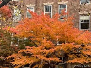 78-11 35 Avenue, New York, NY, 1 Bedroom Bedrooms, 4 Rooms Rooms,1 BathroomBathrooms,Residential,For Rent,35,0,1063925 78-11 35 Avenue, New York, NY, 1 Bedroom Bedrooms, 4 Rooms Rooms,1 BathroomBathrooms,Residential,For Rent,35,0,1063925