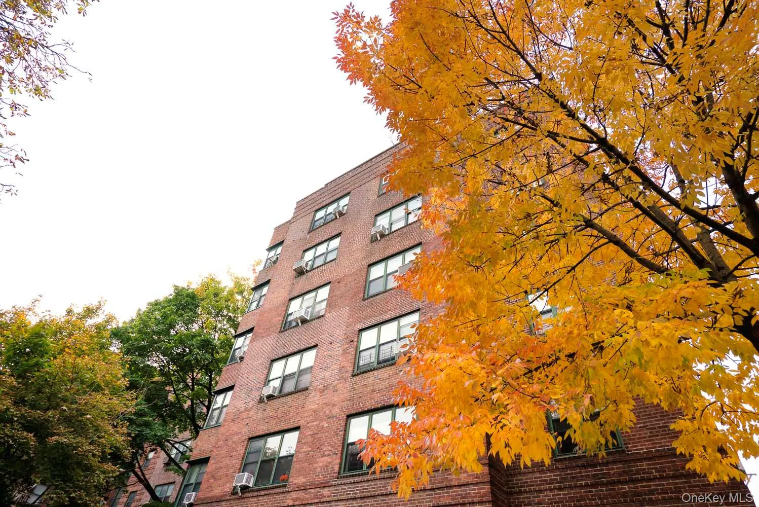 78-11 35 Avenue, New York, NY, 1 Bedroom Bedrooms, 4 Rooms Rooms,1 BathroomBathrooms,Residential,For Rent,35,0,1063925 78-11 35 Avenue, New York, NY, 1 Bedroom Bedrooms, 4 Rooms Rooms,1 BathroomBathrooms,Residential,For Rent,35,0,1063925