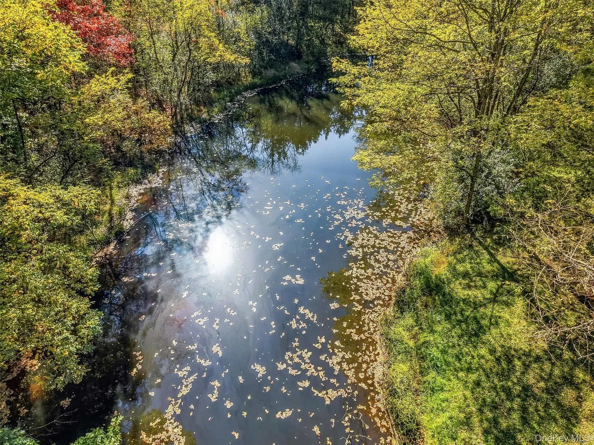 87 Hardscrabble Road, Blooming Grove, NY, 4 Bedrooms Bedrooms, 8 Rooms Rooms,2 BathroomsBathrooms,Residential,For Rent,Hardscrabble,0,1063958 87 Hardscrabble Road, Blooming Grove, NY, 4 Bedrooms Bedrooms, 8 Rooms Rooms,2 BathroomsBathrooms,Residential,For Rent,Hardscrabble,0,1063958