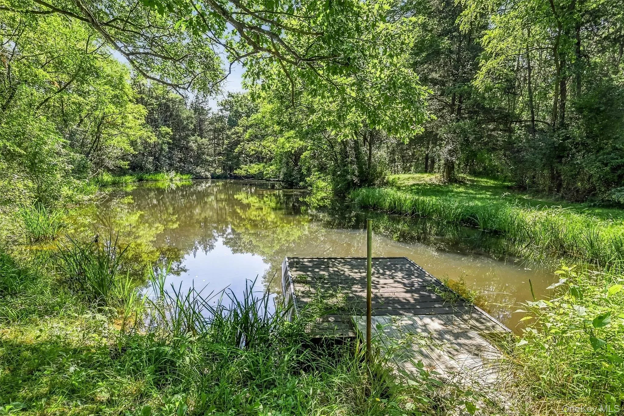 87 Hardscrabble Road, Blooming Grove, NY, 4 Bedrooms Bedrooms, 8 Rooms Rooms,2 BathroomsBathrooms,Residential,For Rent,Hardscrabble,0,1063958 87 Hardscrabble Road, Blooming Grove, NY, 4 Bedrooms Bedrooms, 8 Rooms Rooms,2 BathroomsBathrooms,Residential,For Rent,Hardscrabble,0,1063958