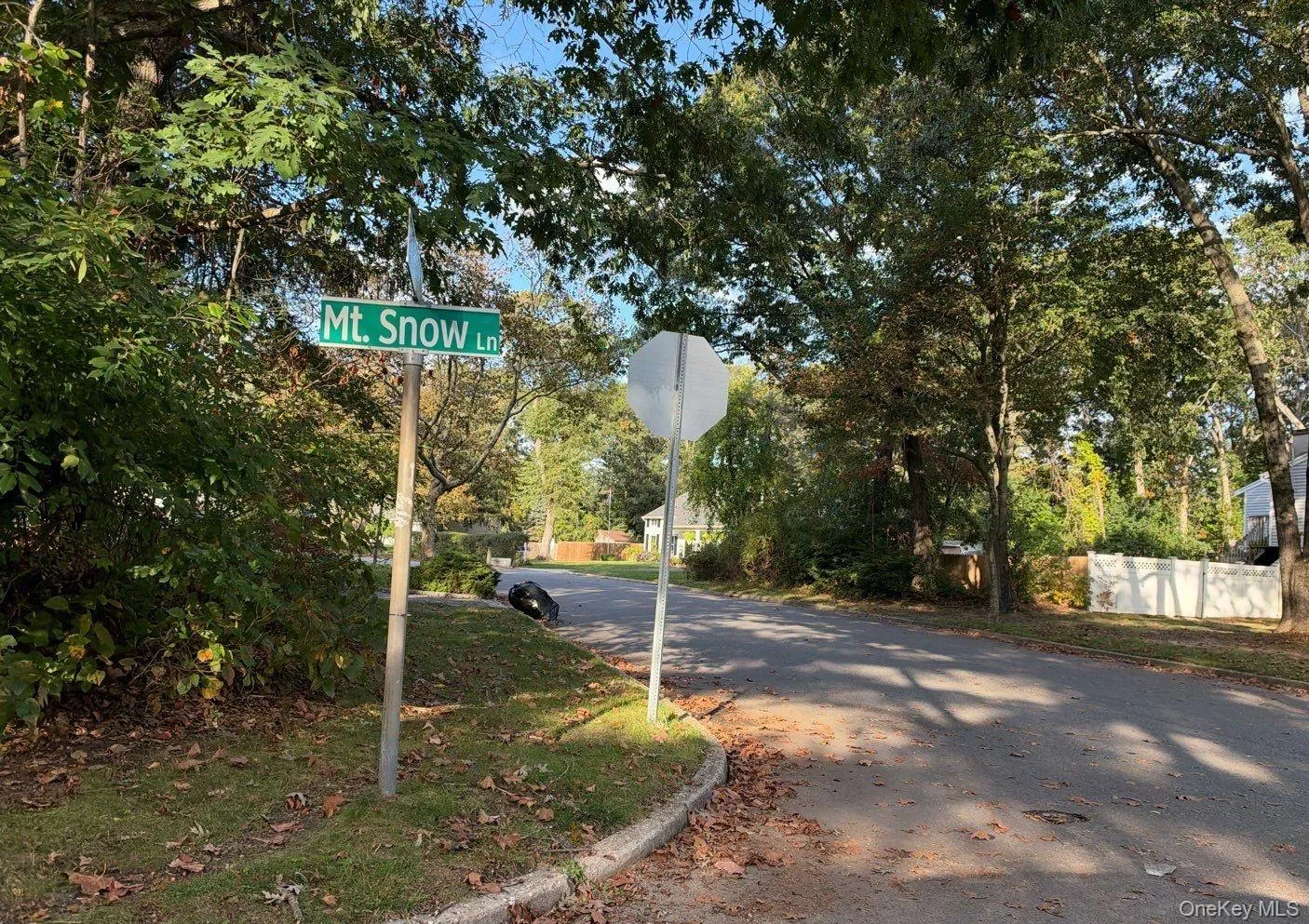 6 Mount Snow Lane, Brookhaven, NY, 4 Bedrooms Bedrooms, 6 Rooms Rooms,1 BathroomBathrooms,Residential,For Rent,Mount Snow,0,1063981 6 Mount Snow Lane, Brookhaven, NY, 4 Bedrooms Bedrooms, 6 Rooms Rooms,1 BathroomBathrooms,Residential,For Rent,Mount Snow,0,1063981