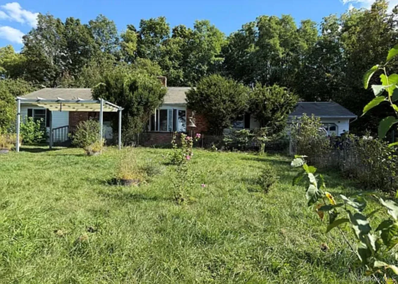 237 Rockefeller Lane, Red Hook, NY, 3 Bedrooms Bedrooms, 8 Rooms Rooms,1 BathroomBathrooms,Residential Lease,For Rent,Rockefeller,0,1064008 237 Rockefeller Lane, Red Hook, NY, 3 Bedrooms Bedrooms, 8 Rooms Rooms,1 BathroomBathrooms,Residential Lease,For Rent,Rockefeller,0,1064008