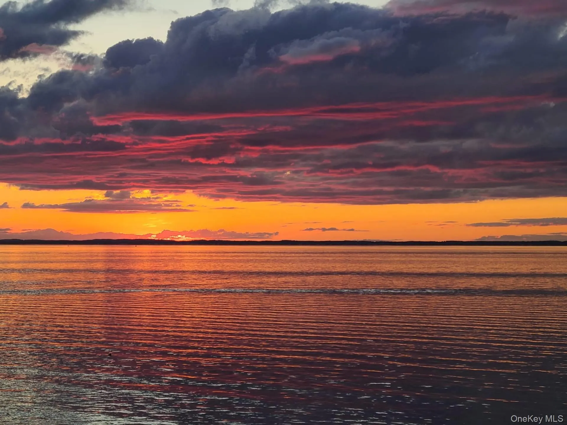 3 Oakhurst Road, Southampton, NY, 4 Bedroom Bedrooms, 6 Room Rooms,2 BathroomBathrooms,Residential Lease,For Rent,Oakhurst,0,1064013 3 Oakhurst Road, Southampton, NY, 4 Bedroom Bedrooms, 6 Room Rooms,2 BathroomBathrooms,Residential Lease,For Rent,Oakhurst,0,1064013