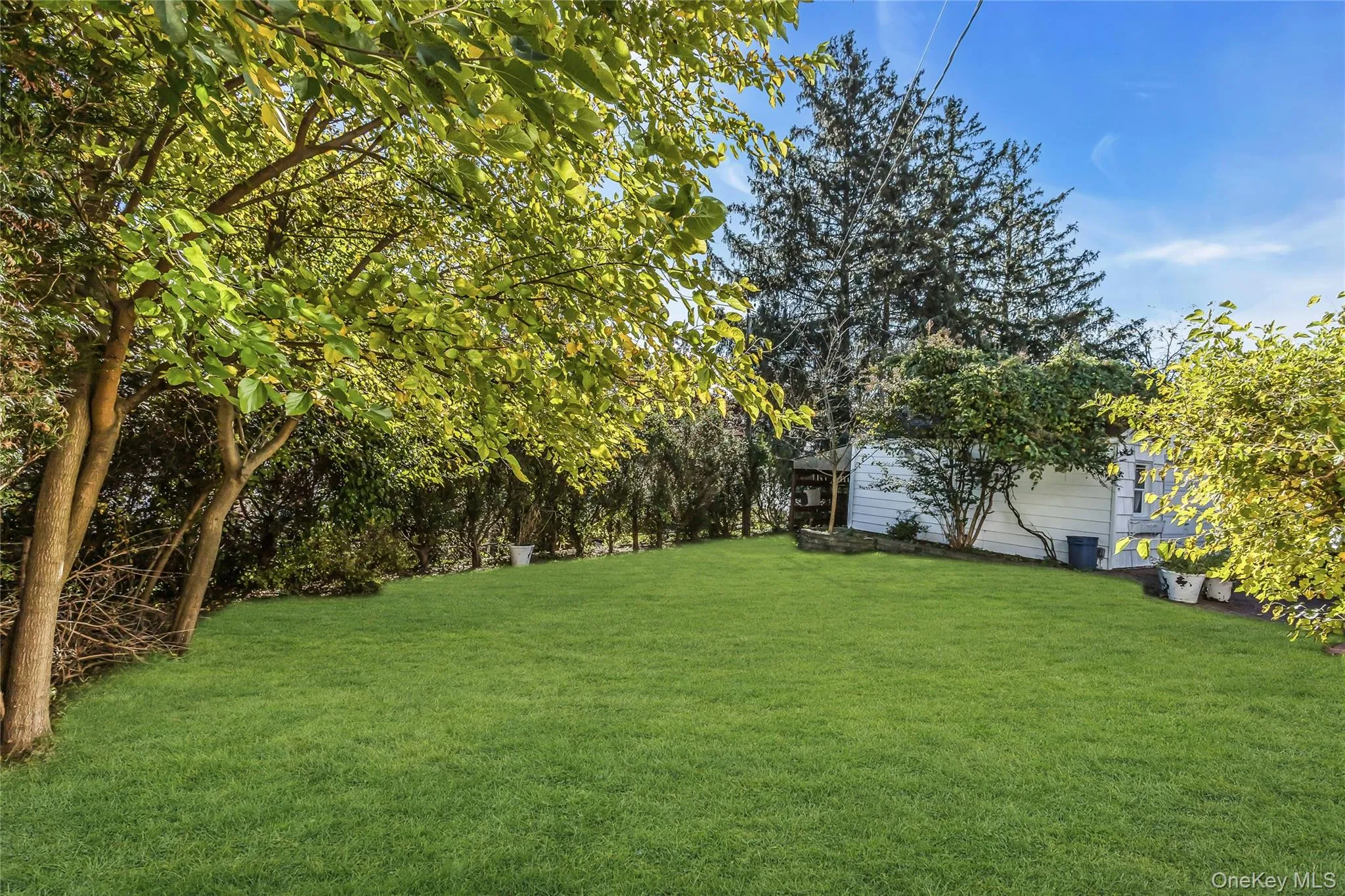 54 Camden Place, Hempstead, NY, 3 Bedrooms Bedrooms, 8 Rooms Rooms,3 BathroomsBathrooms,Residential,For Rent,Camden,0,1064025 54 Camden Place, Hempstead, NY, 3 Bedrooms Bedrooms, 8 Rooms Rooms,3 BathroomsBathrooms,Residential,For Rent,Camden,0,1064025