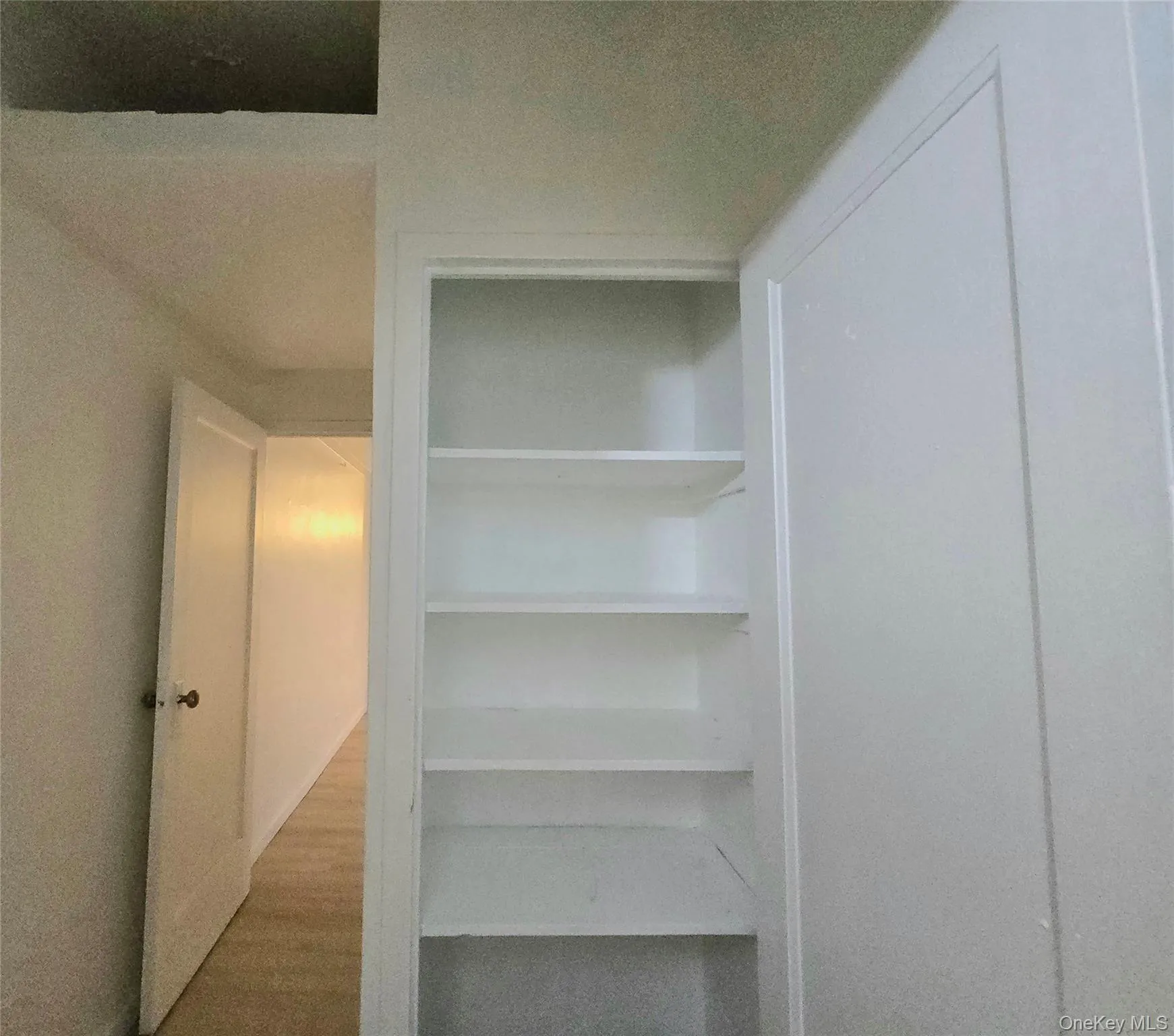 Built-in storage closet featuring painted wood shelving, solid-core interior door, and neutral wall finish Built-in storage closet featuring painted wood shelving, solid-core interior door, and neutral wall finish